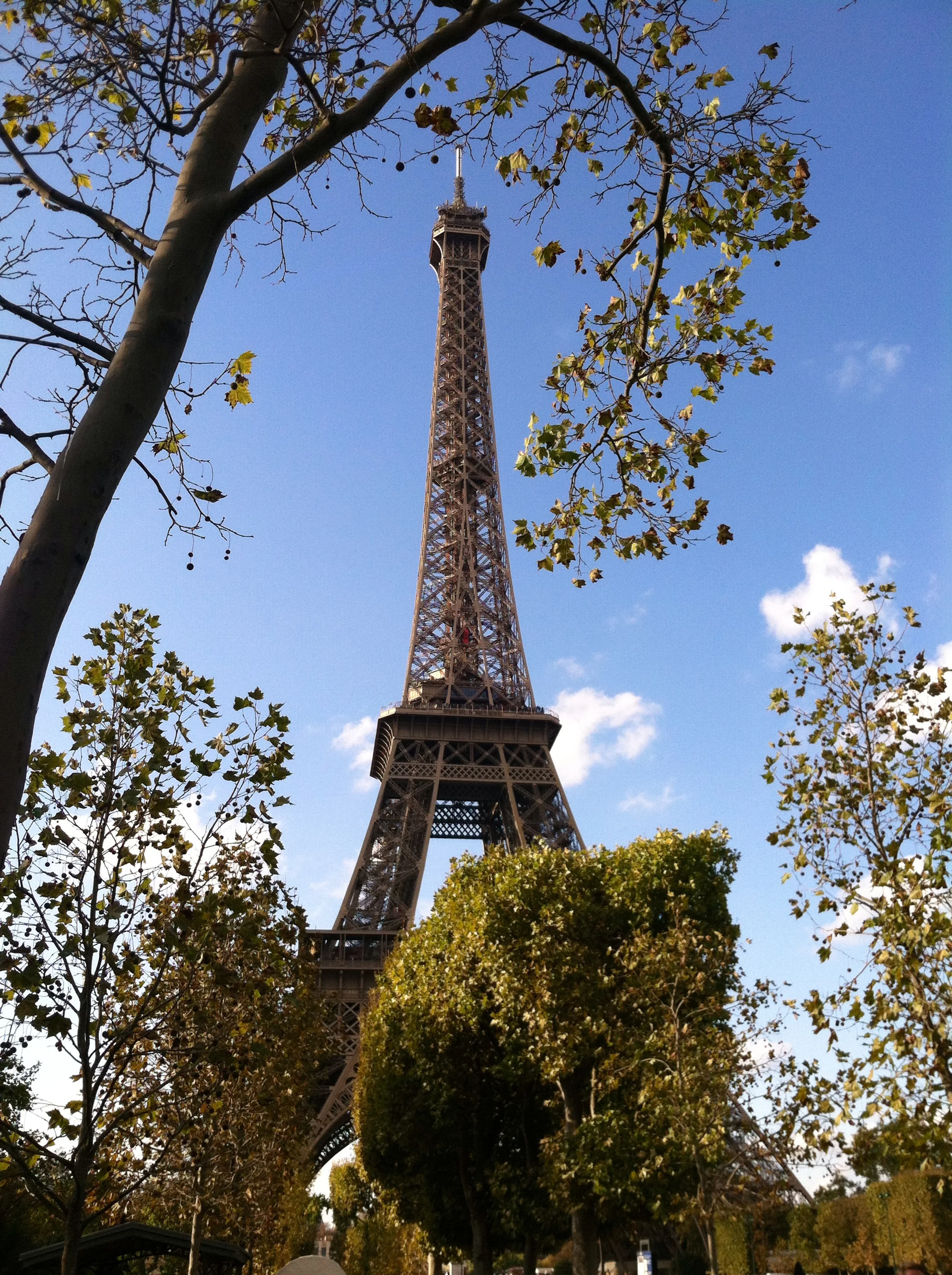 Weight Loss Fitness in France
