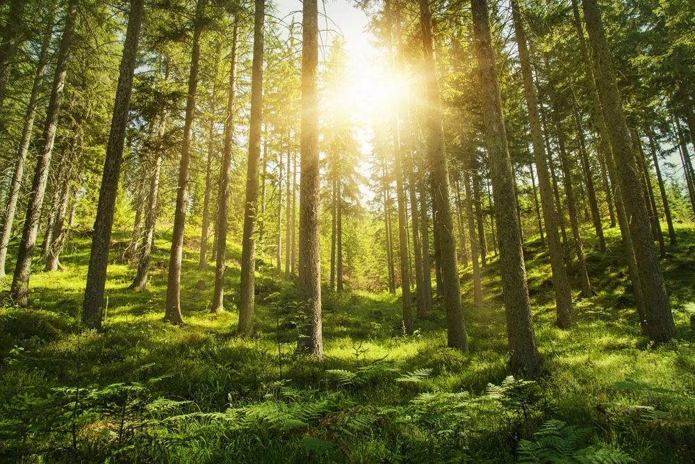 Unlocking Success: 5 Essential Life Lessons for Personal and Professional Growth