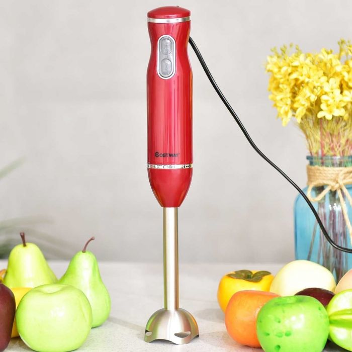 stick-mixer-personal-trainer-chicago.jpg