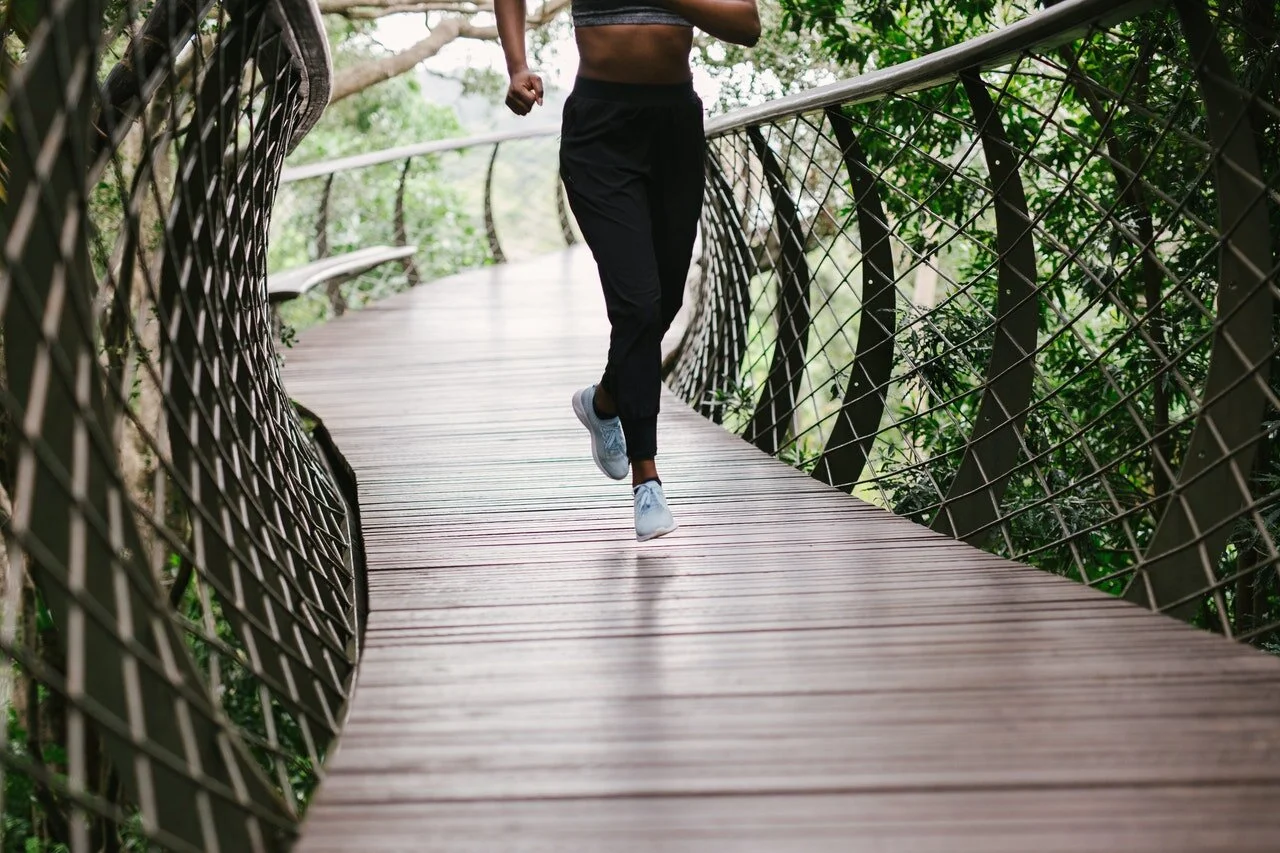 Weight Loss Plan Recap:  The Game Plan / Immersive Experience