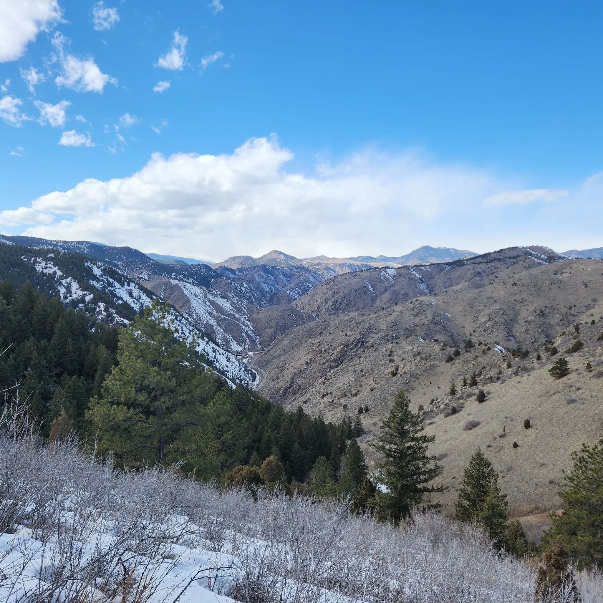 Colorado Hikes near Denver: Beaver Brook Trail