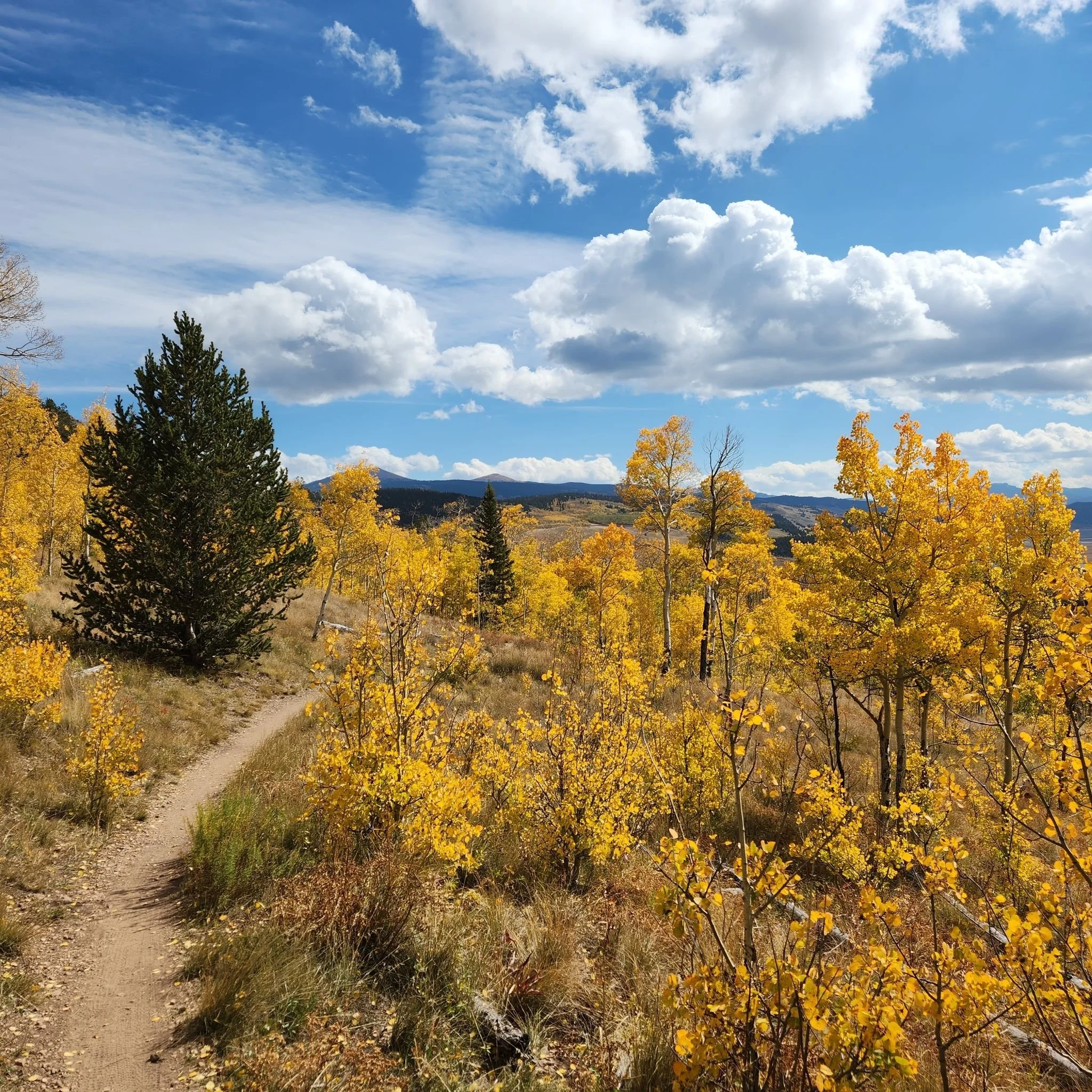 Colorado Hikes near Denver: Kenosha Pass North