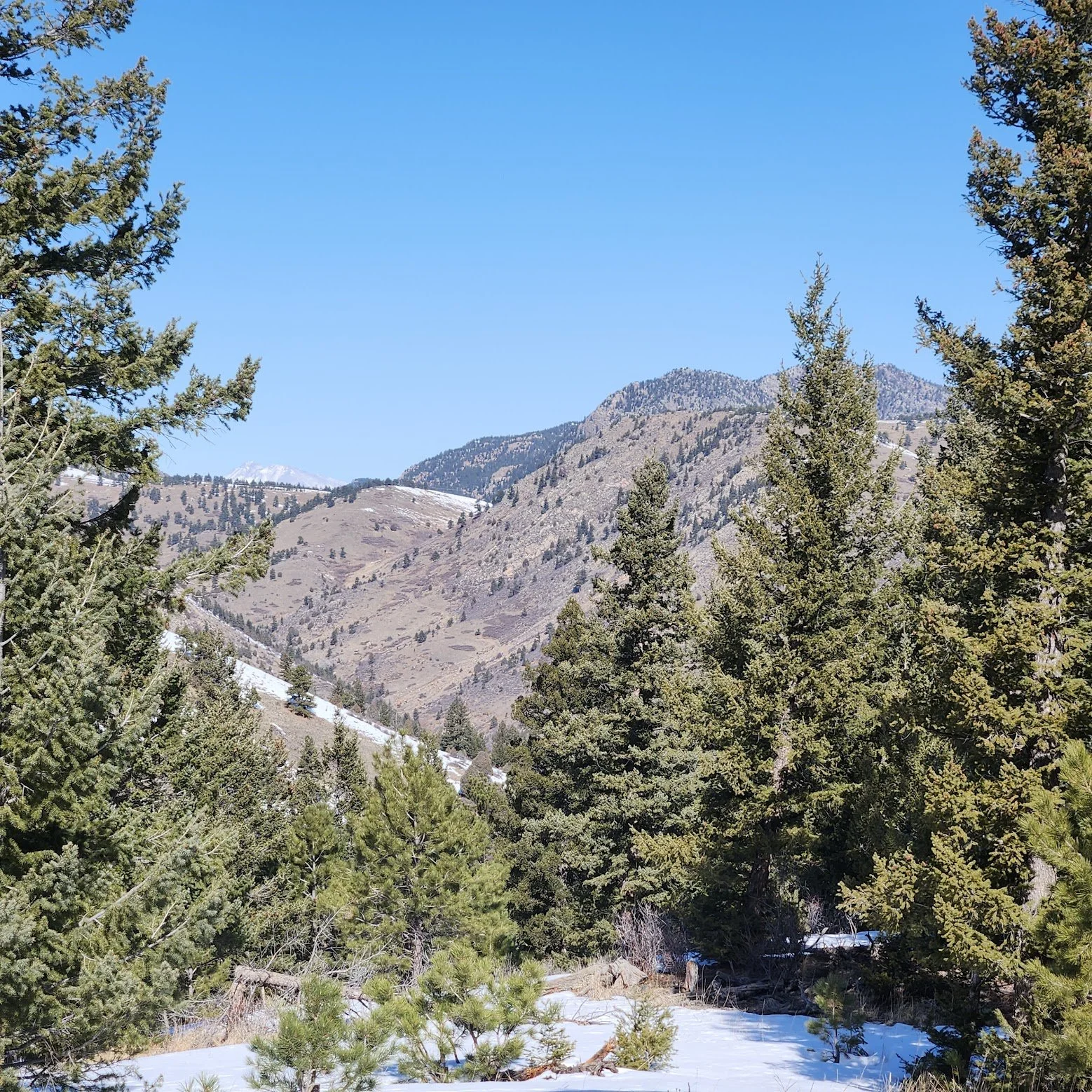 Rawhide Trail (White Ranch): Tranquil Winter Hike Near Belcher Hill