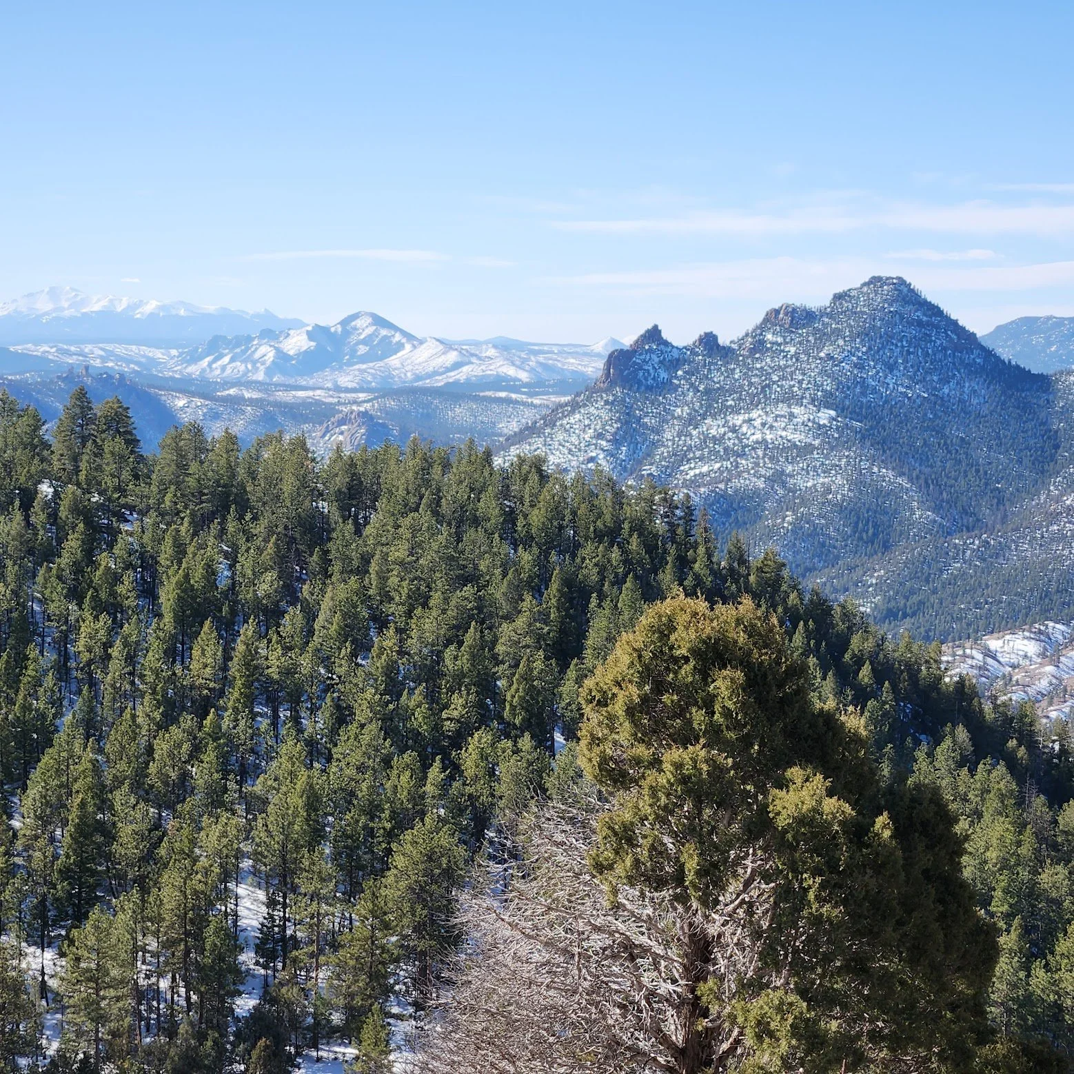 Explore Colorado Hikes: Elkhorn Trail and Eagle’s View Trail Loop