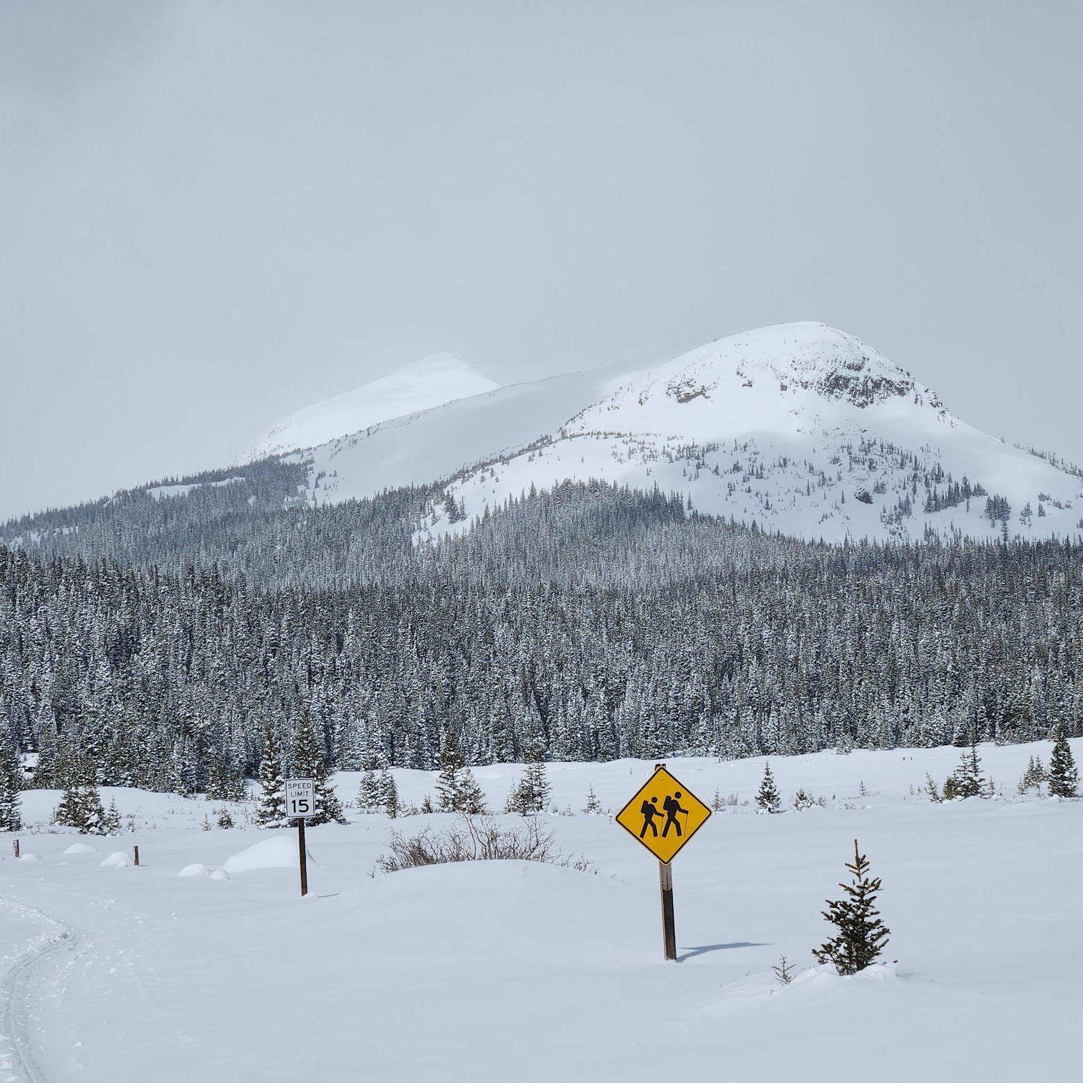 Brainard Lake Loop Via South St. vrain Trail (Winter)
