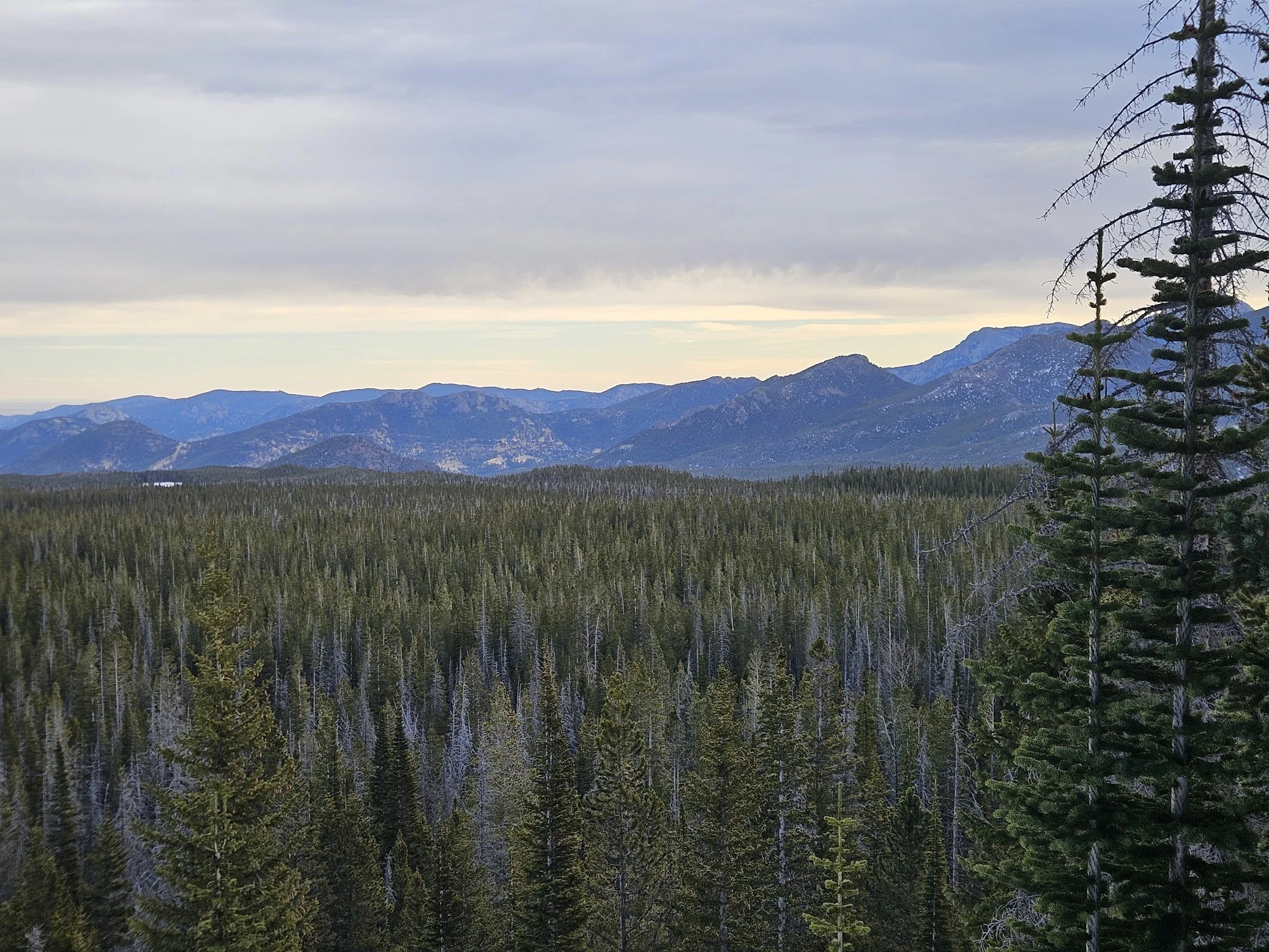 Rocky Mountain National Park Winter