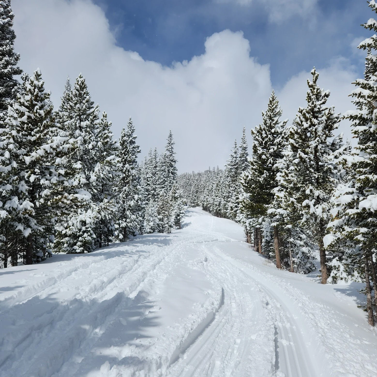 Brainard Lake Hike