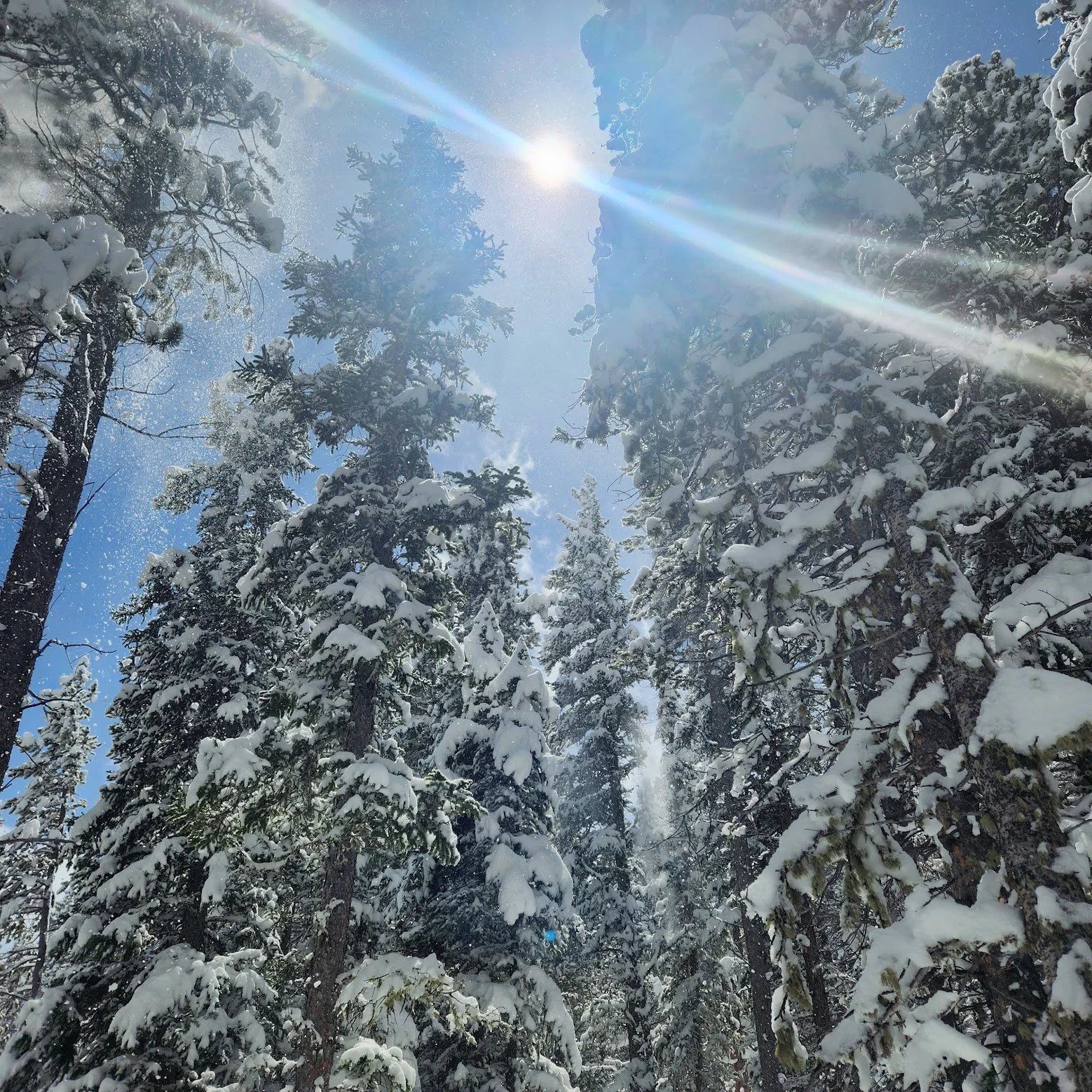 South St. Vrain Trail