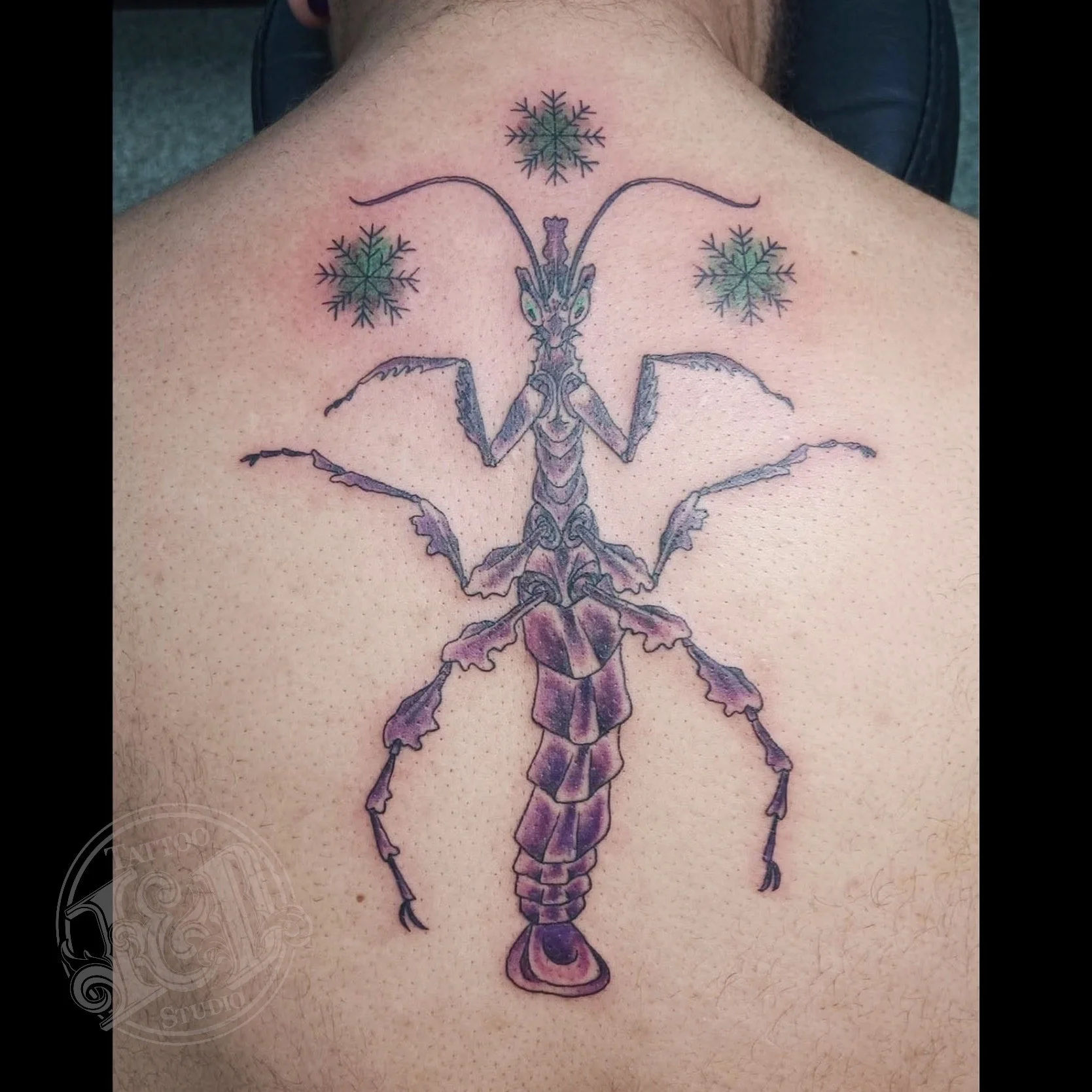 Wild dragon mantis by @stabinks don't let it "bug" you it's not to scale. Come see Abi for all your creepy crawly tattoo needs! #bugs #insect #dragonmantis #mantids #snowflakes #bugtattoo #inkanddestroy #tattoo