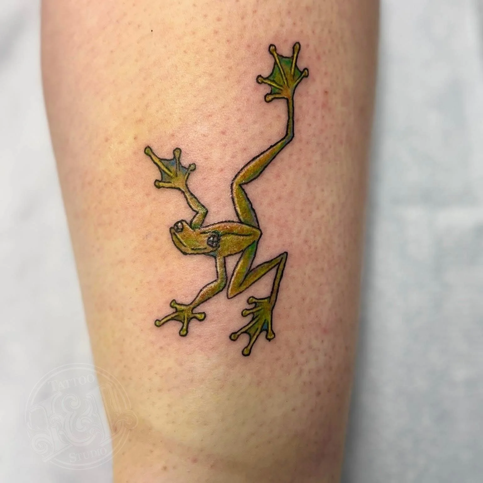 Fun little frog dude by @jessicawilhelm hop on in and see her for your next tattoo! #frog #amphibians #hoptoit #springpeeper #lakecreatures #frogtattoo #inkanddestroy #tattoo