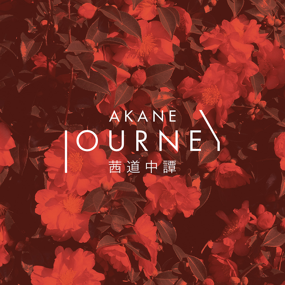 Download : Brave Wave Store | iTunes | Spotify