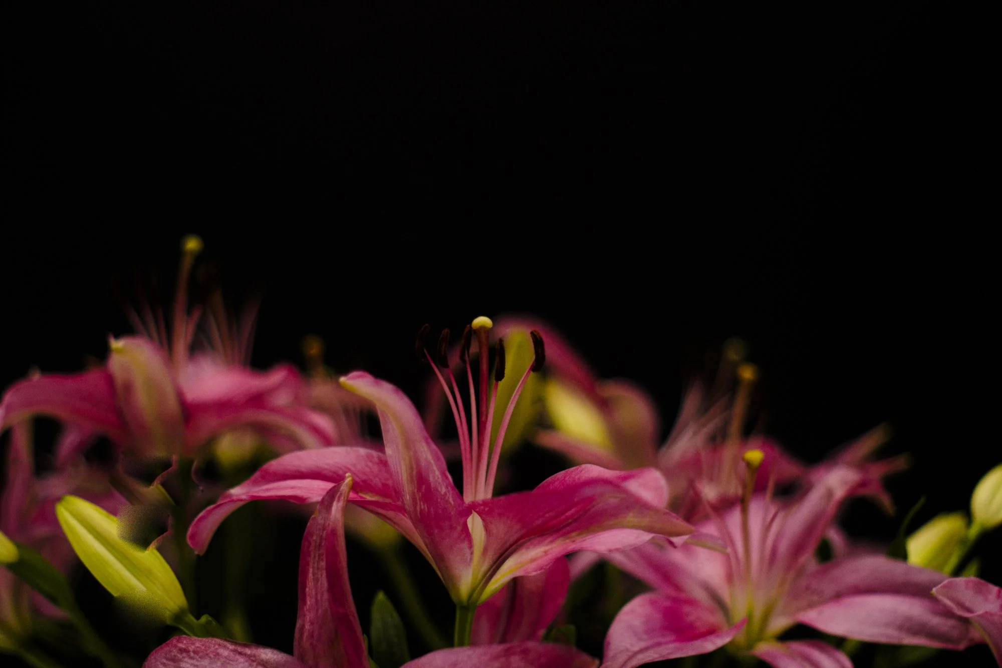 fiddlin-111023-2.jpg