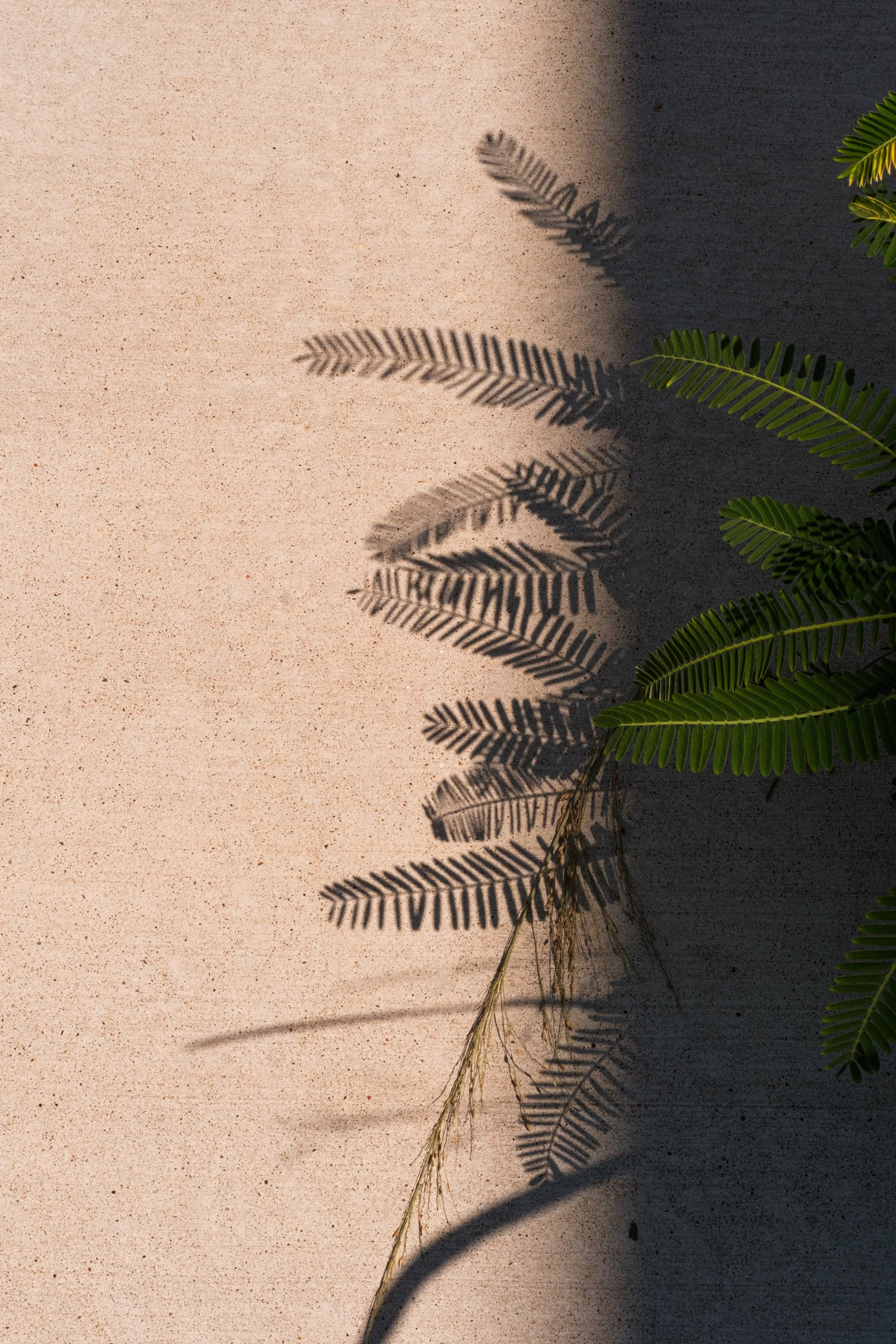verticals-1.jpg