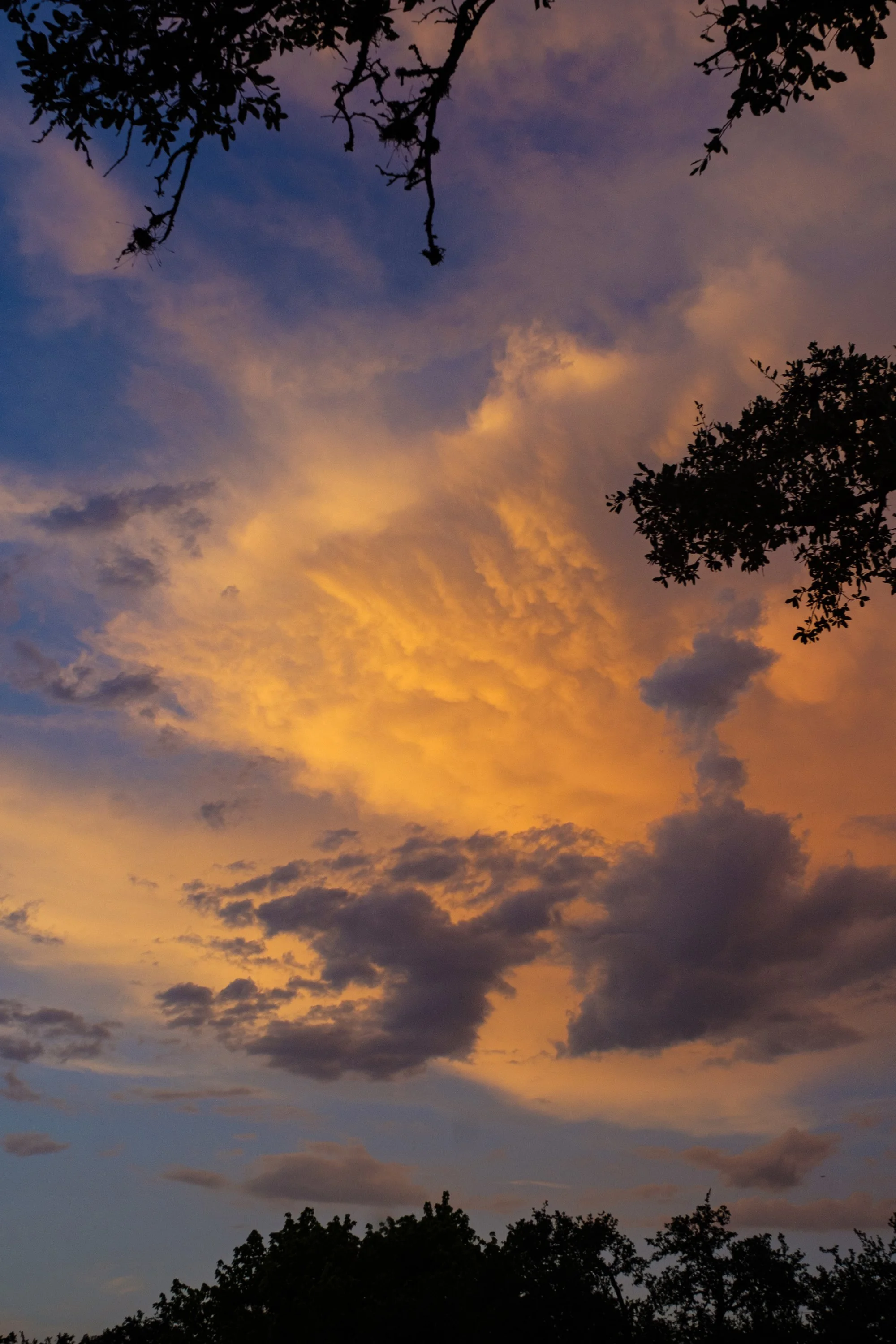 sunset-072323-1.jpg