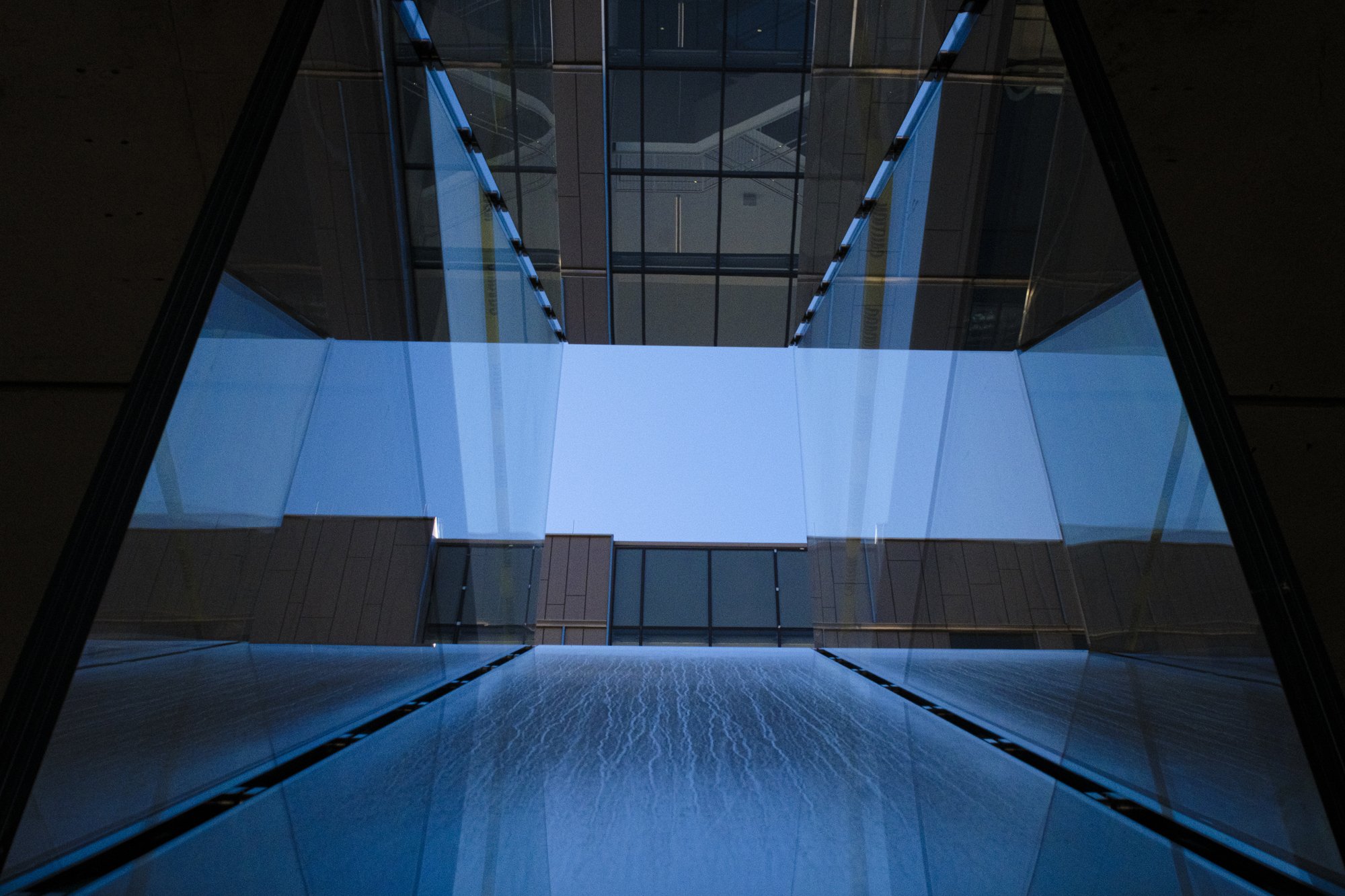 UT-wandering-012824-25.jpg