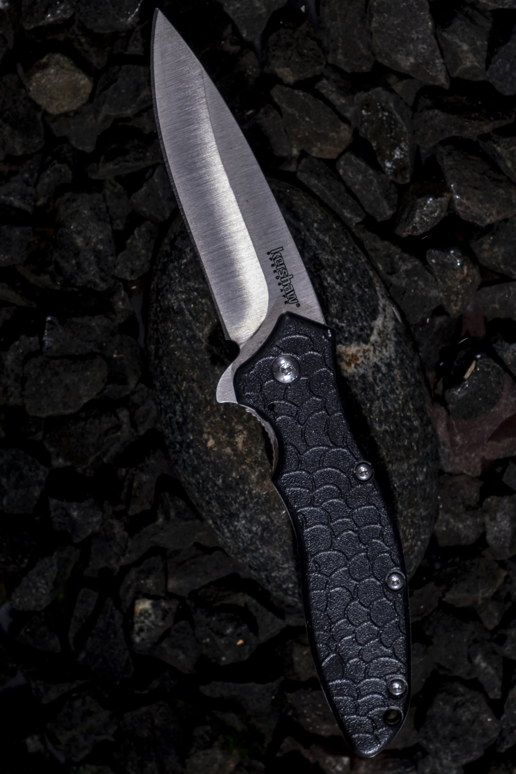 kershaw-111823-1.jpg