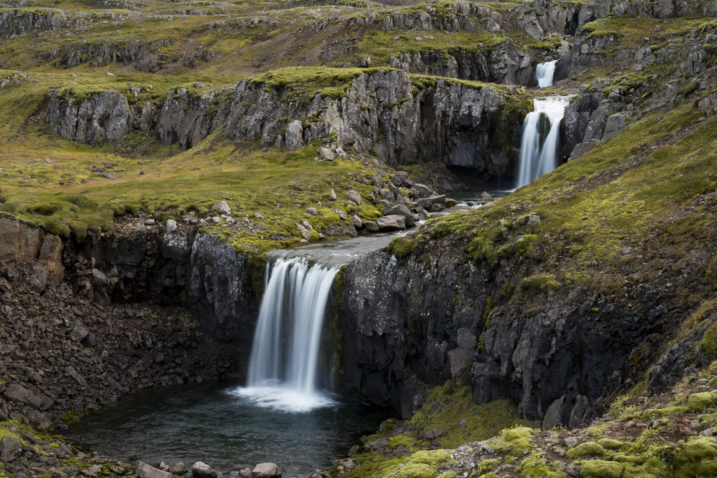 _CM_7848.jpg
