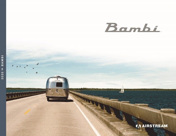 2020-bambi-brochure-thumb-min-2.jpg