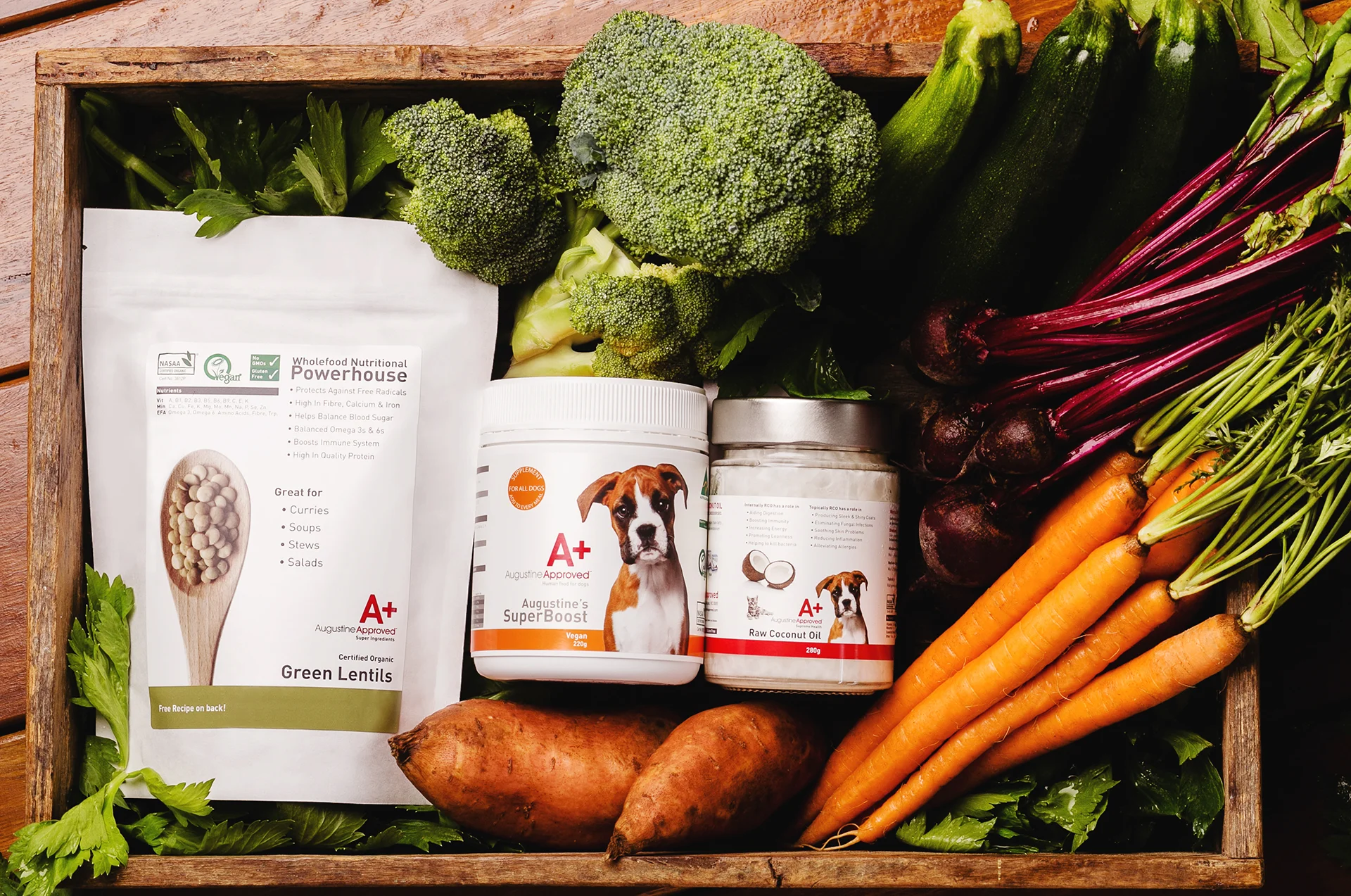 Aug+ April Rebrand 2016-0104.jpg