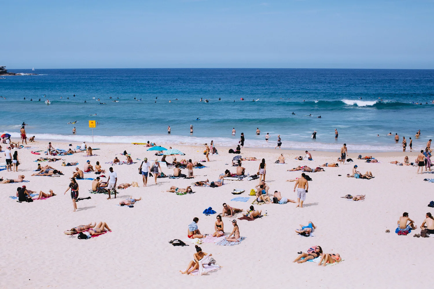 Sarah-Jane_Bondi_Summer-5.jpg