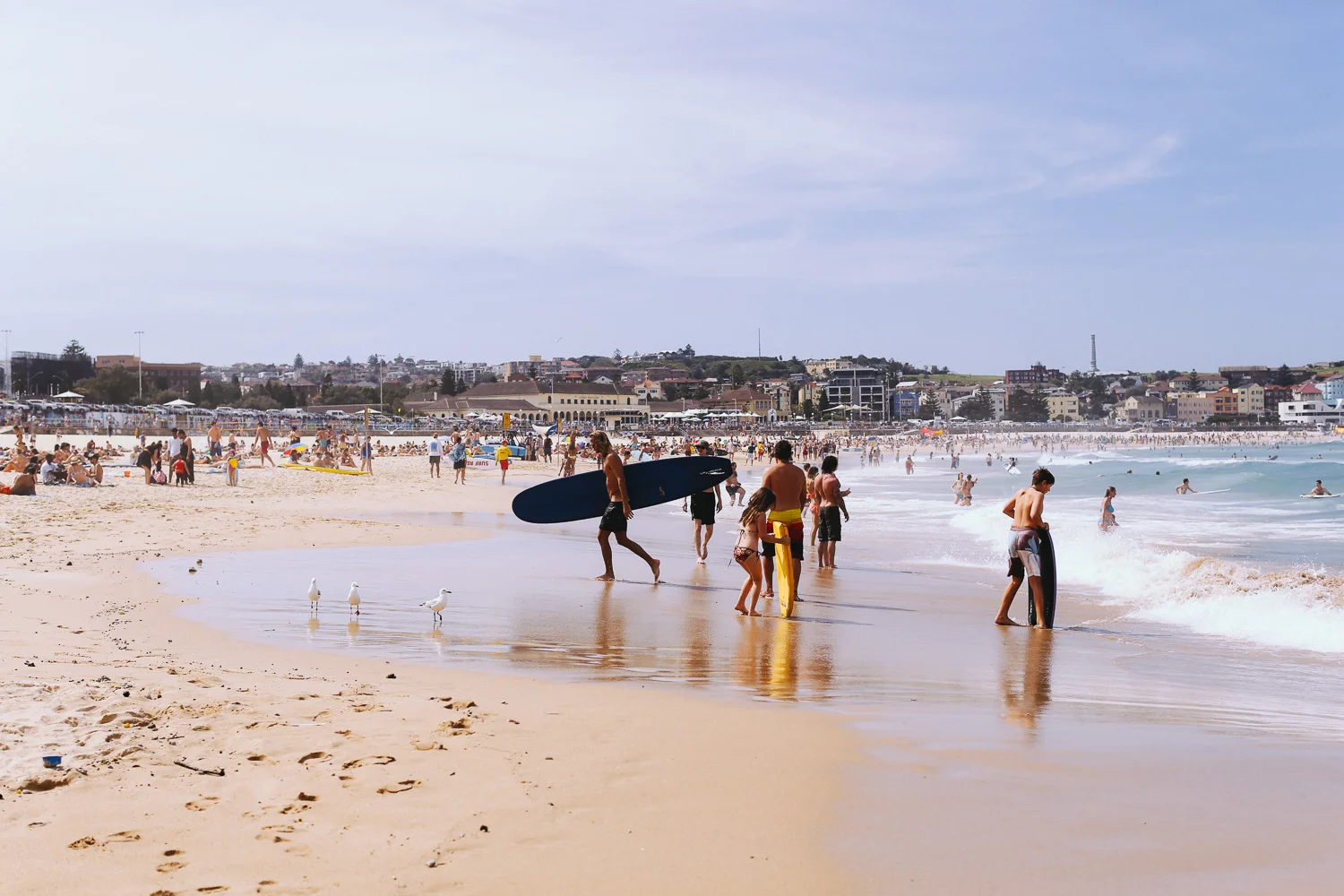 Sarah-Jane_Bondi_Summer-55.jpg