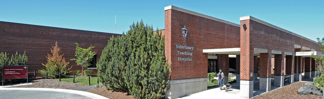 W.S.U Veterinary Teaching Hospital
