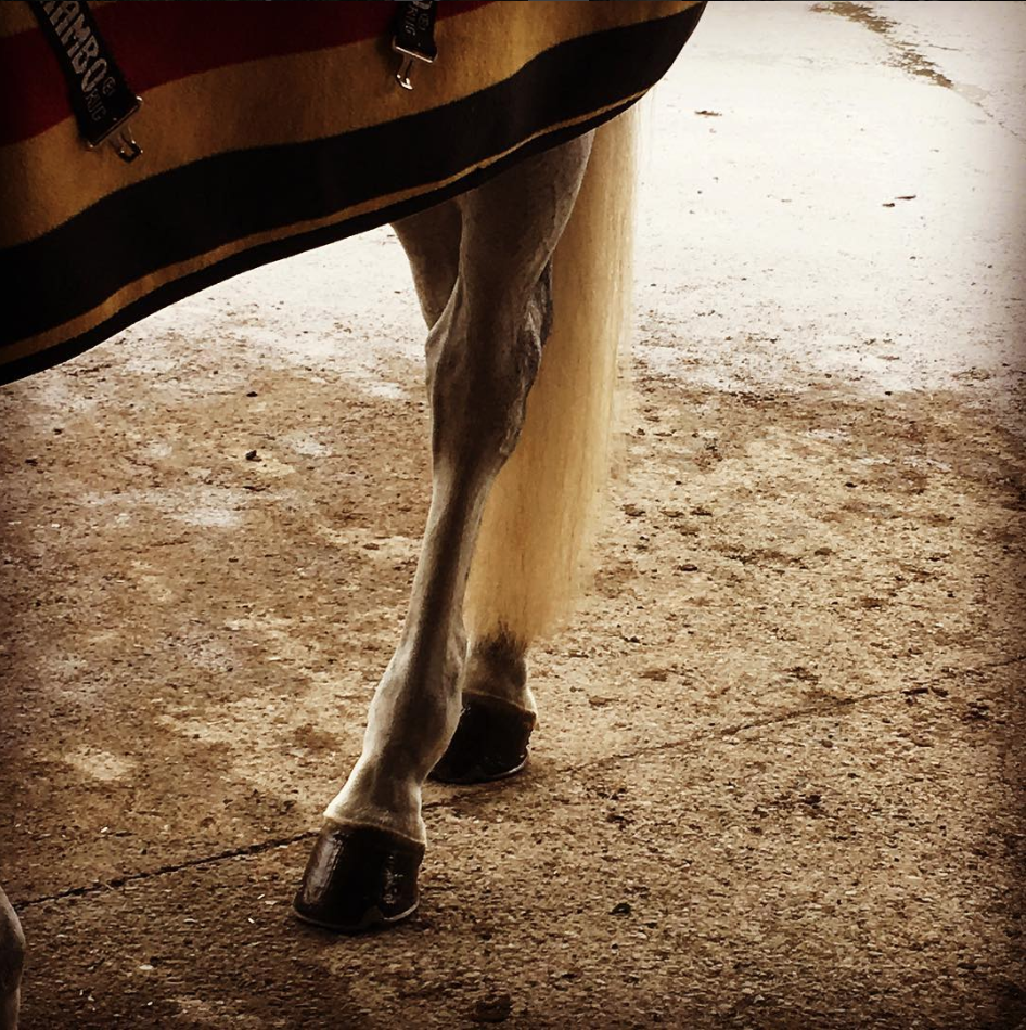 Screen Shot 2018-06-15 at 12.53.28 PM.png