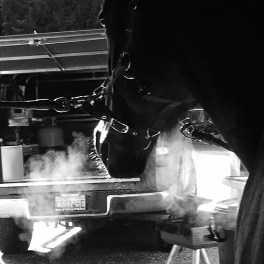 Screen Shot 2018-06-15 at 1.07.29 PM.png