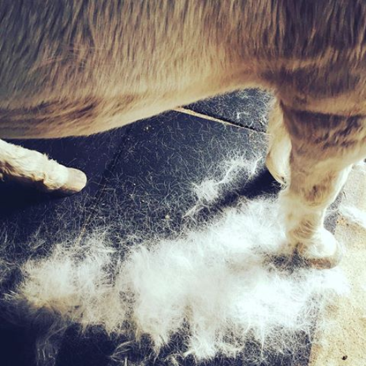 Screen Shot 2018-06-15 at 1.07.43 PM.png