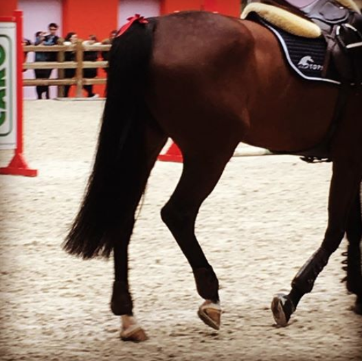 Screen Shot 2018-06-15 at 1.08.40 PM.png