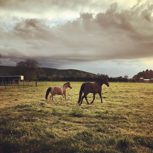 Screen Shot 2018-06-15 at 1.09.16 PM.png