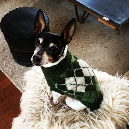 Screen Shot 2018-06-15 at 1.31.02 PM.png