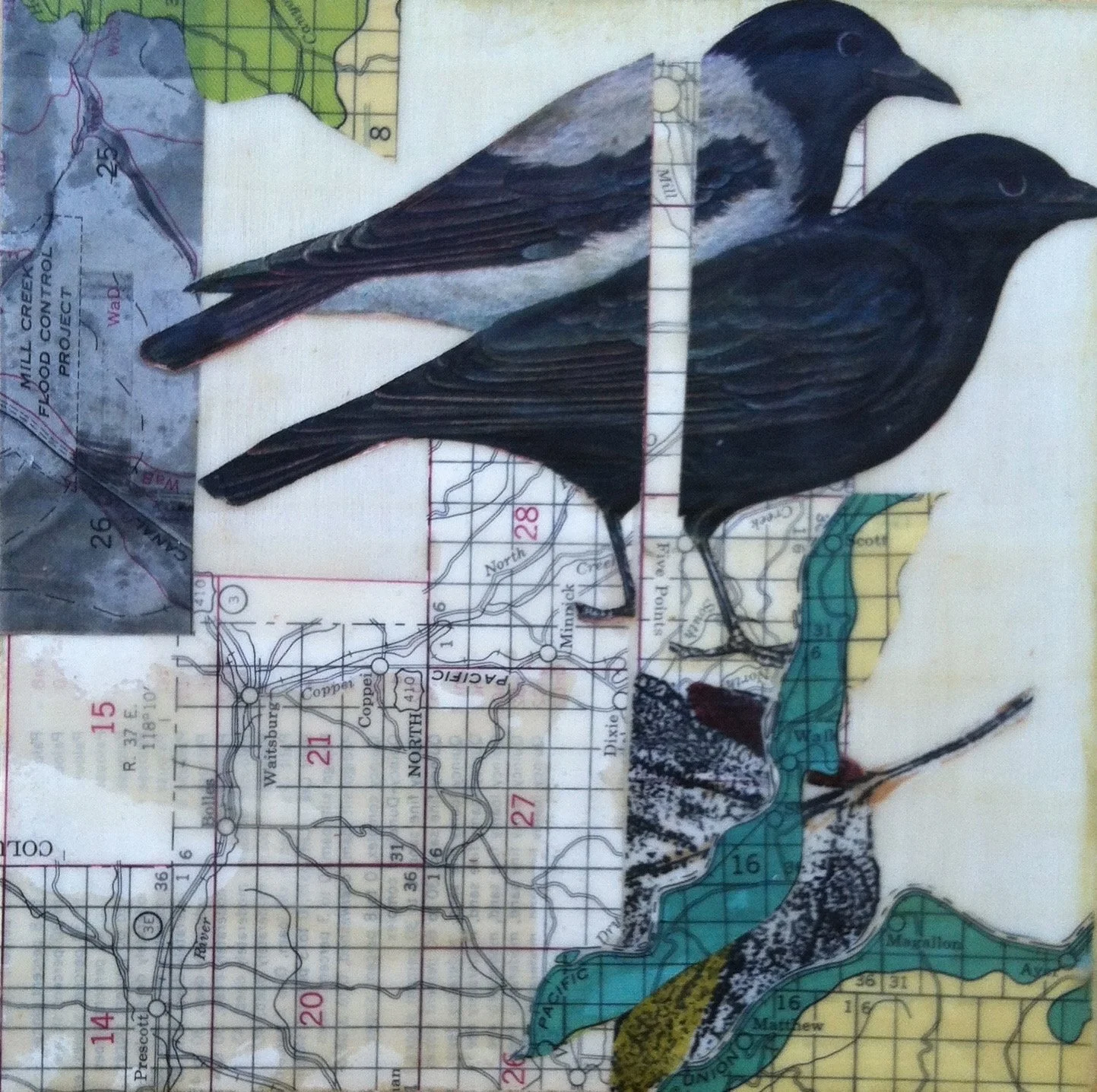 IMG_1883.jpg Encaustic Collage, Flood Control, Twila Tate.jpg