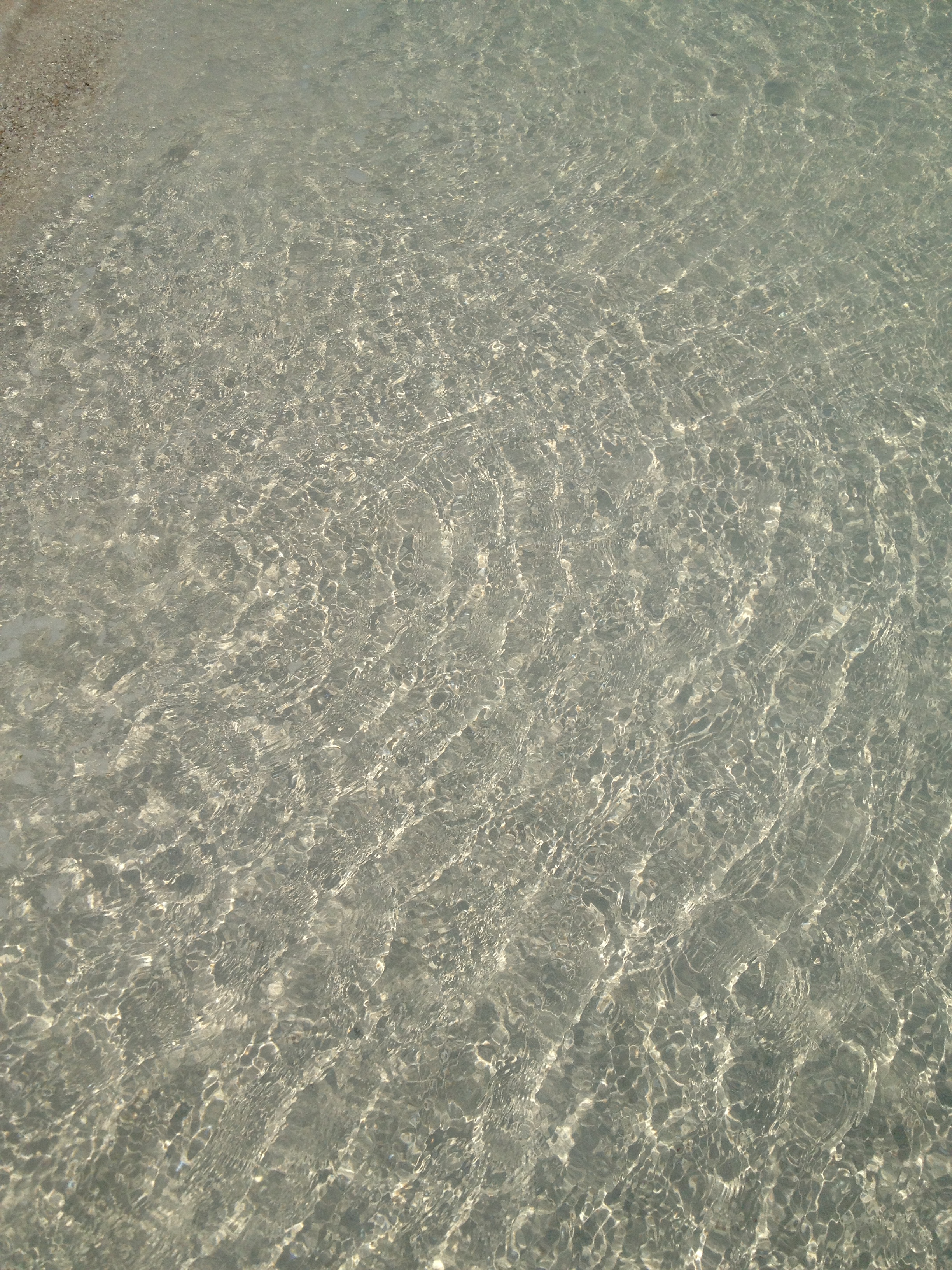 2013-03-20 10.49.21.jpg