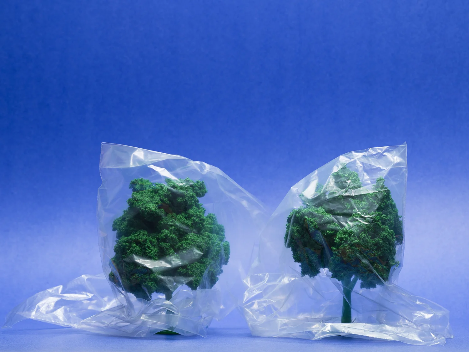Environments, 2013