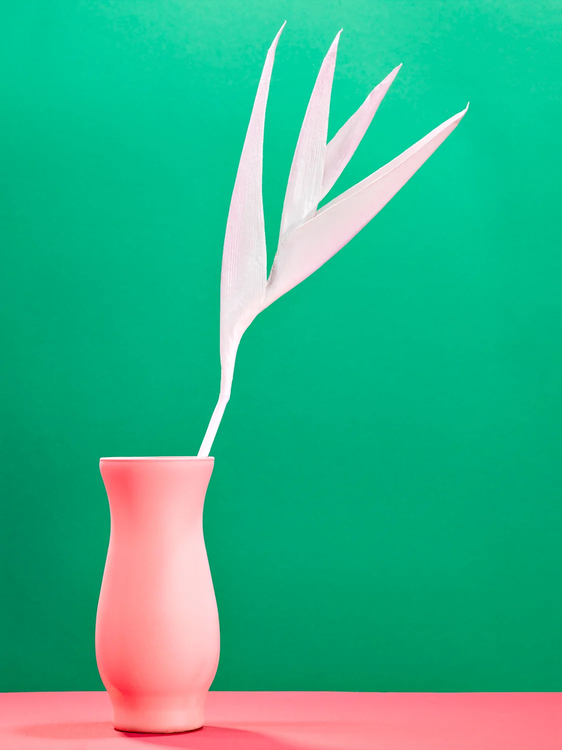 Sexuality , 2014