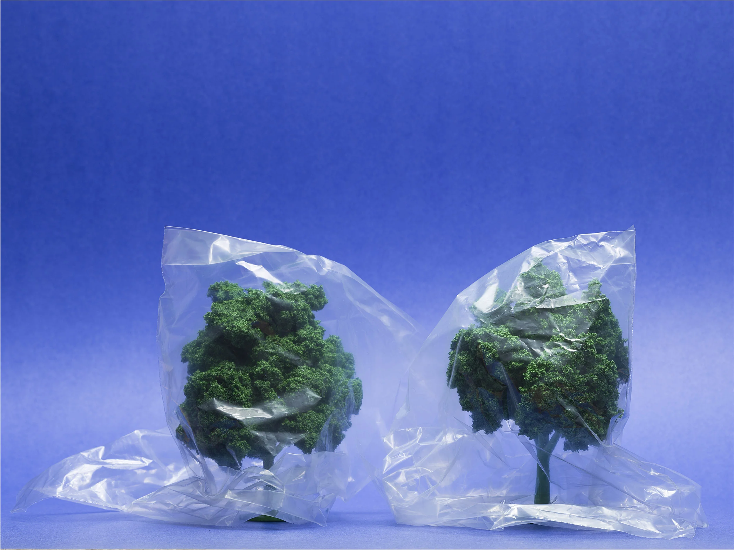 Enviromental
