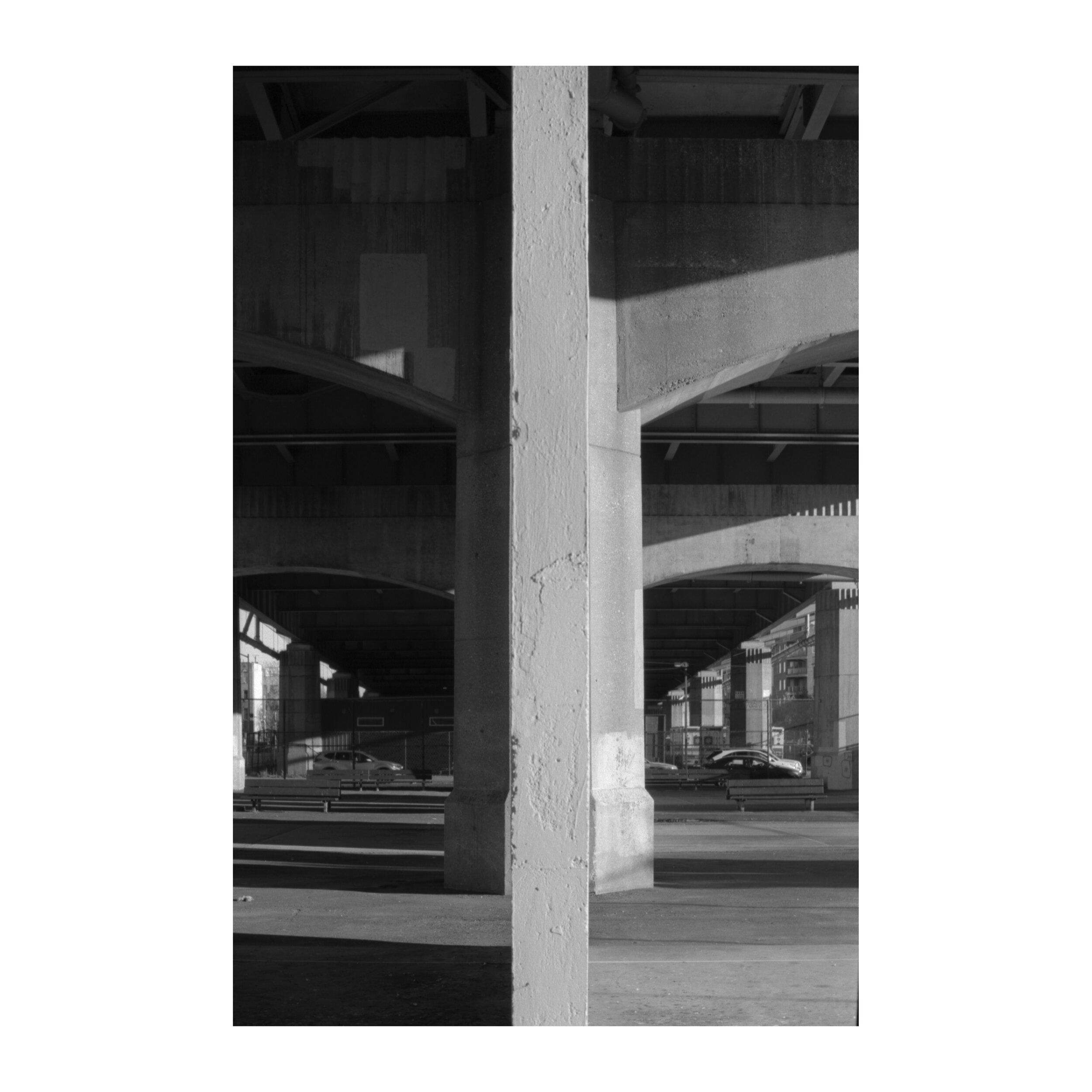 11162019_Hellgate_study_194.jpg