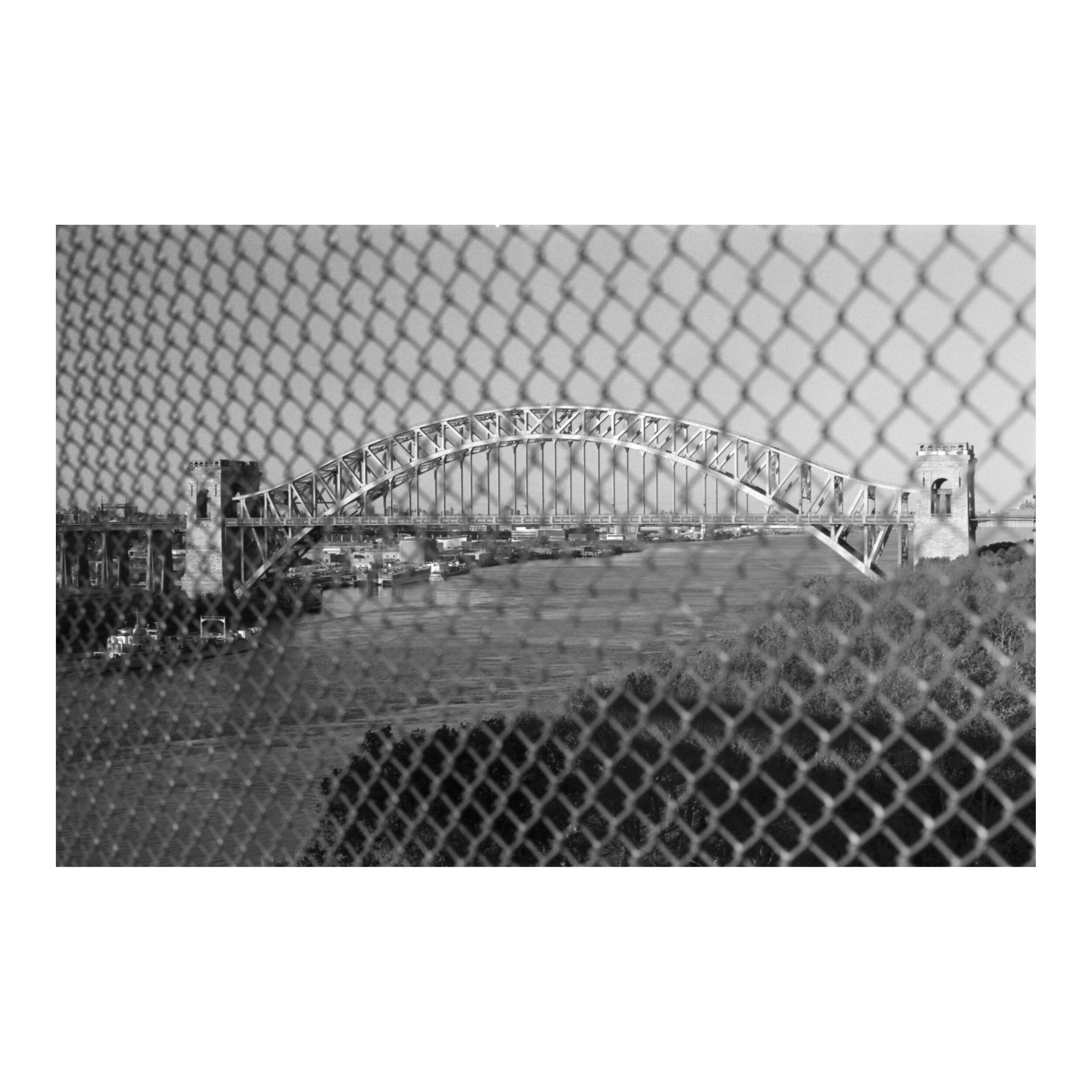 11162019_Hellgate_study_197.jpg