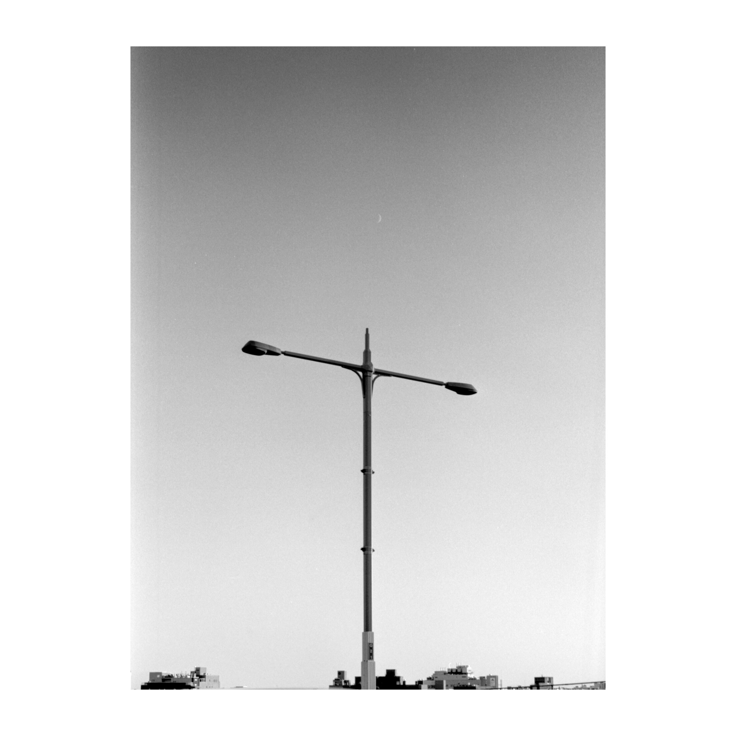 11162019_Hellgate_study_202.jpg