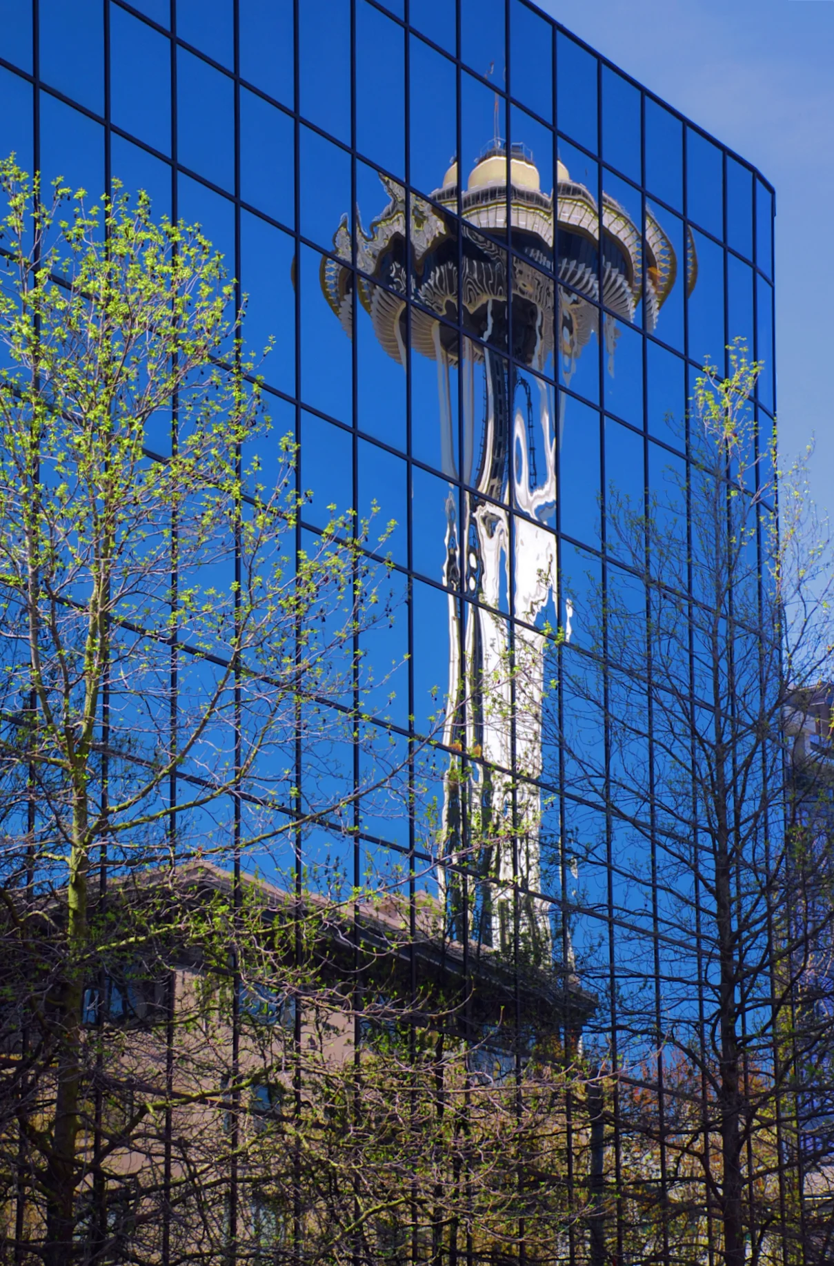 SeattleSpaceNeedleReflectionProcessed (2).JPG