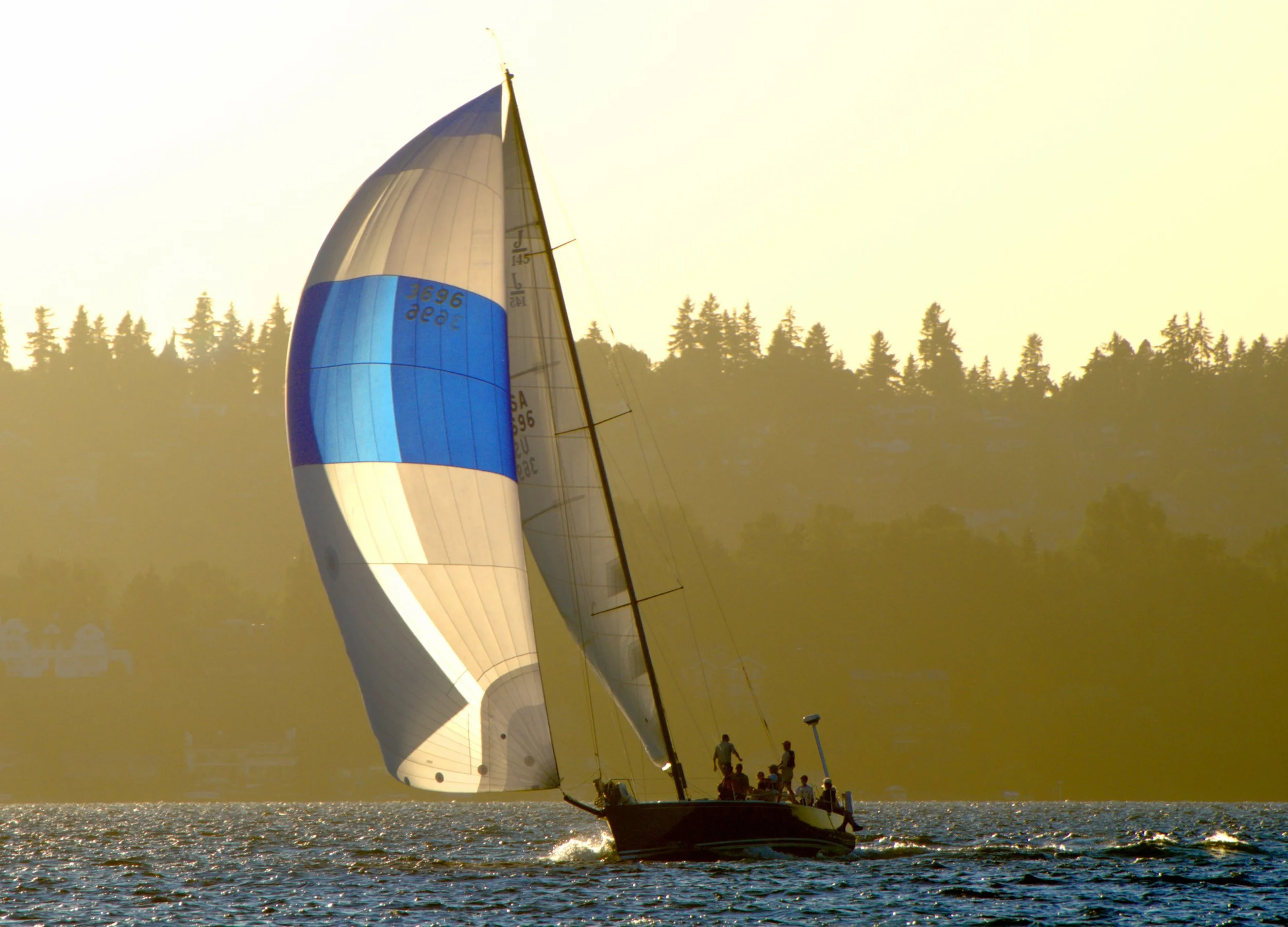 _DSC1544 -1.jpg