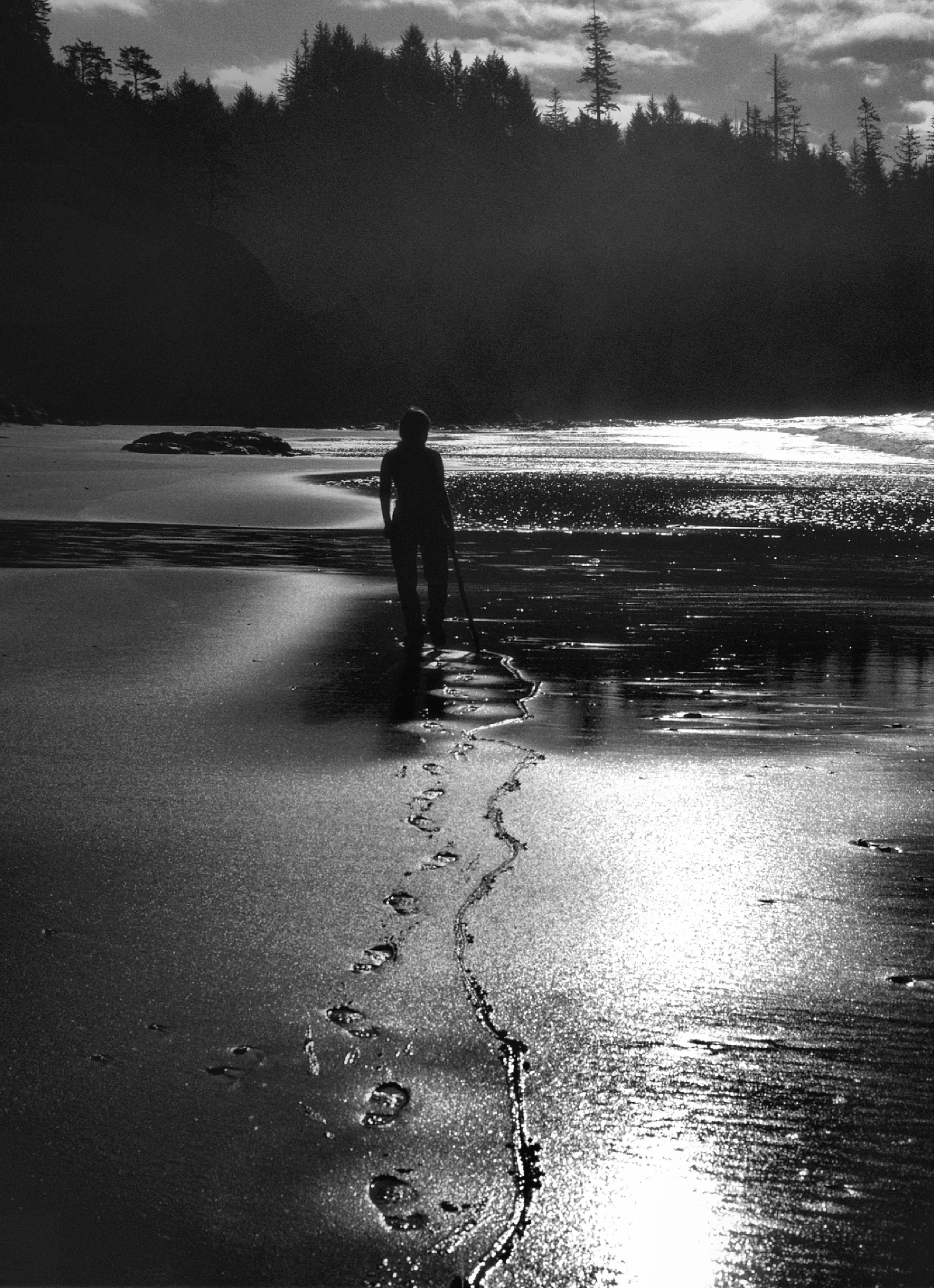 BeachStickSized Mono.jpg