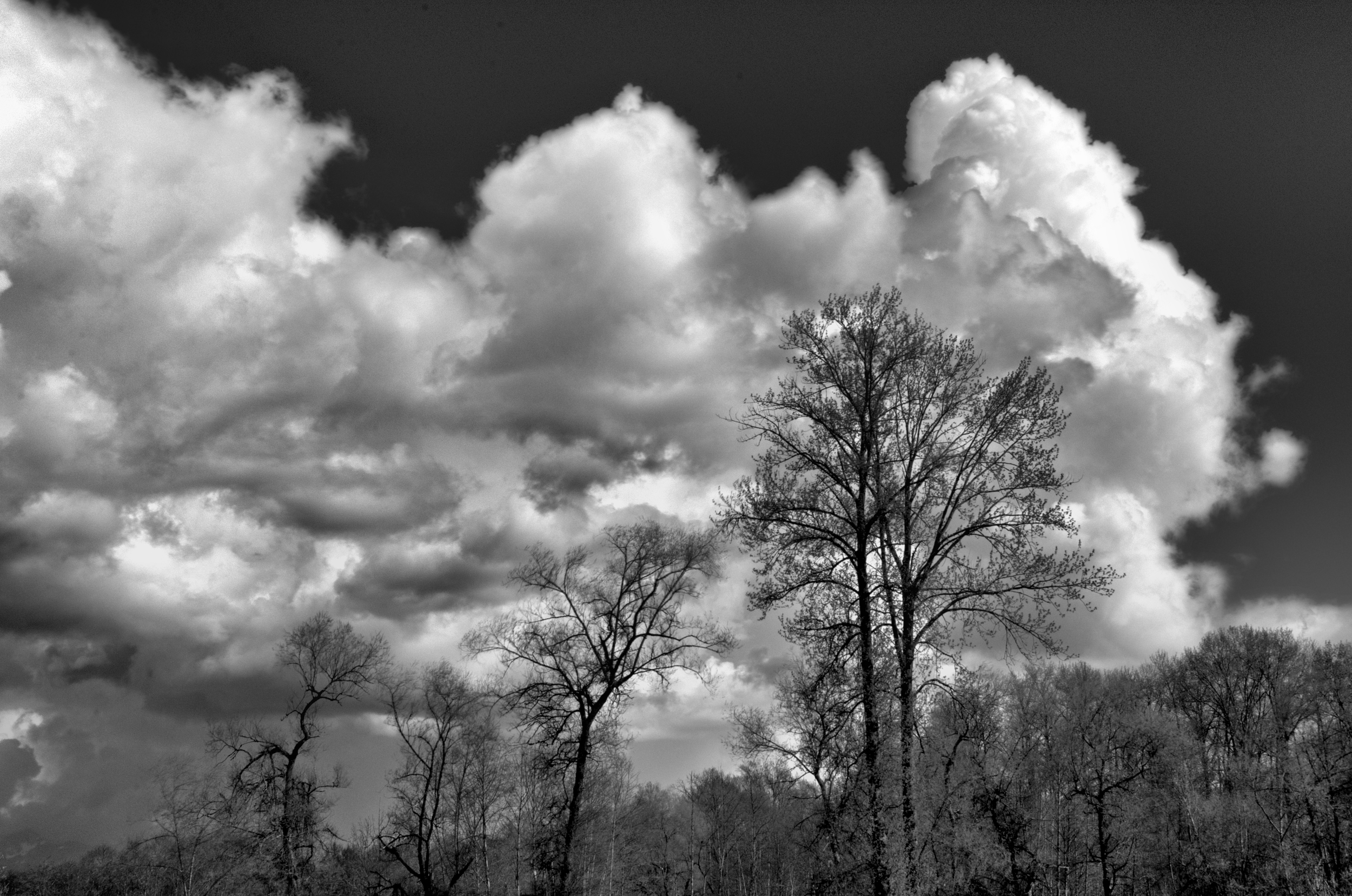 Early spring skies.jpg