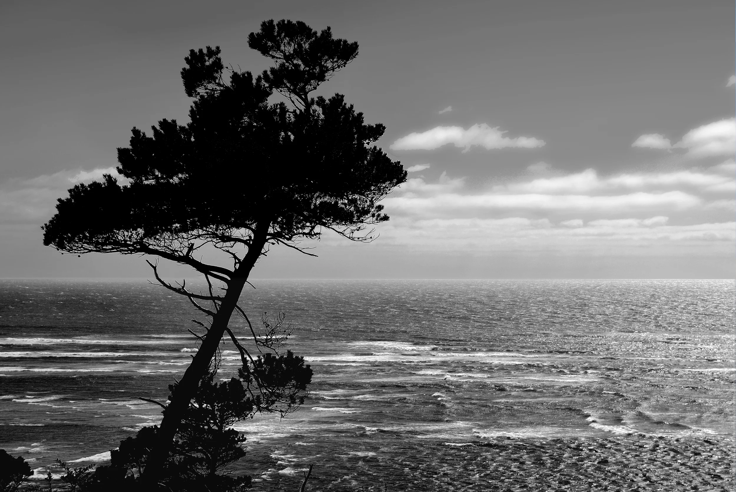 DSC_0294.jpg