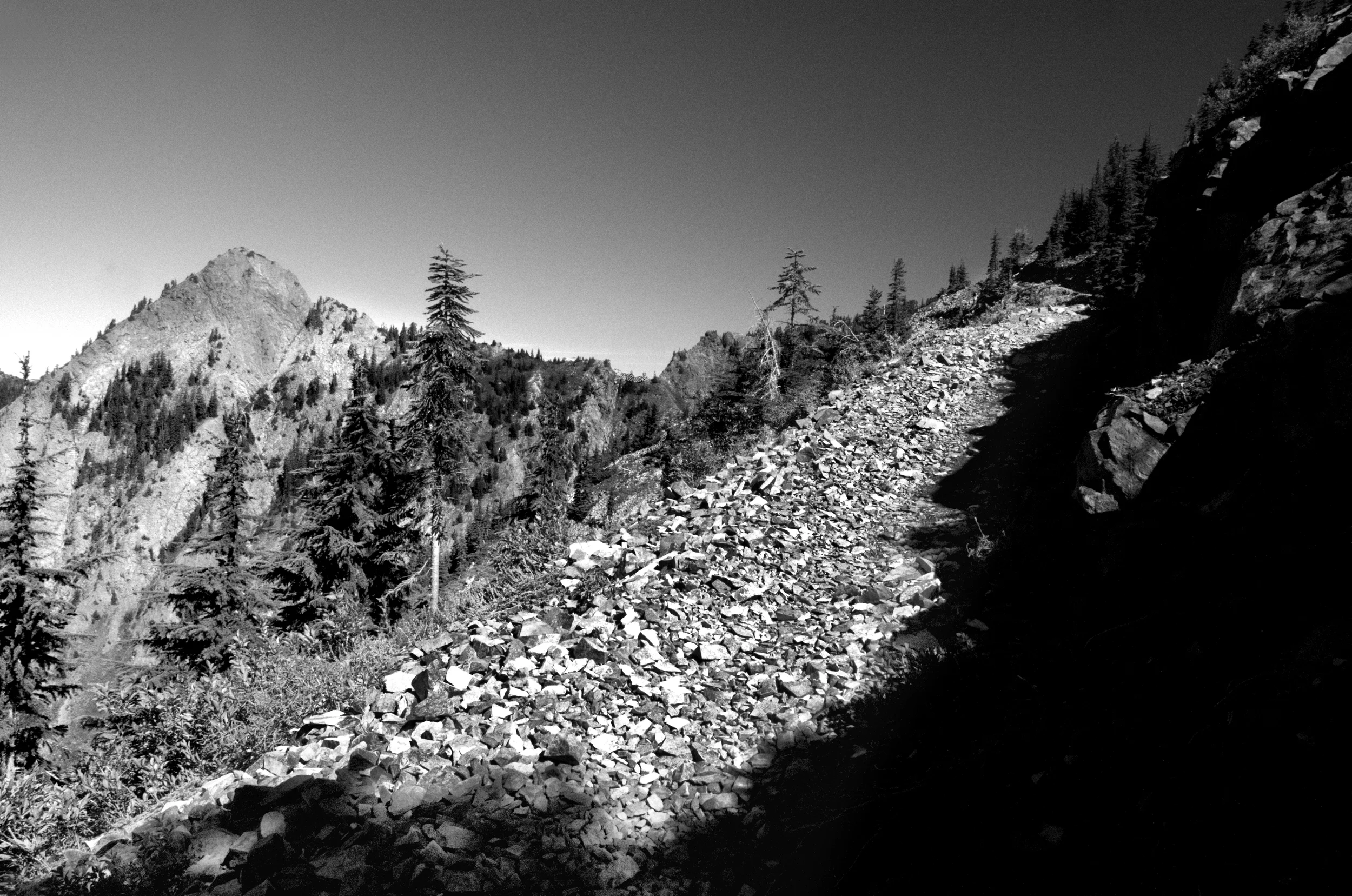 _DSC2373 -1_BW.jpg