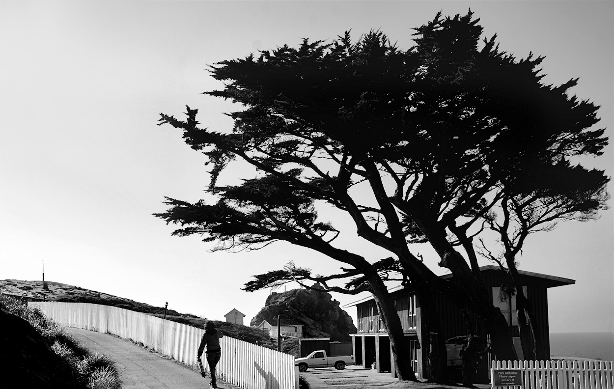 DSC_8238_bw_cool_SP.jpg
