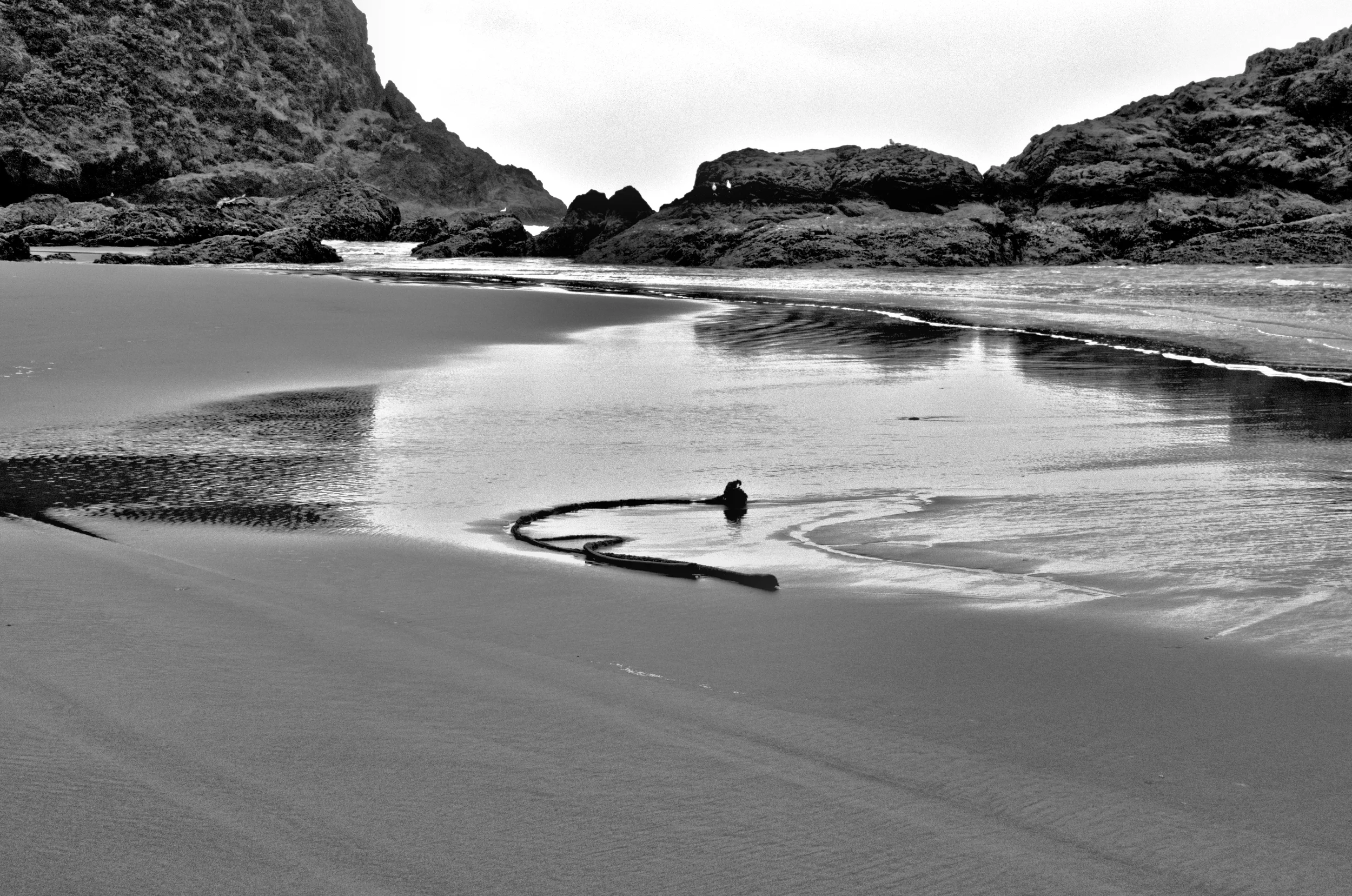 _DSC4669_Detail_BW.jpg