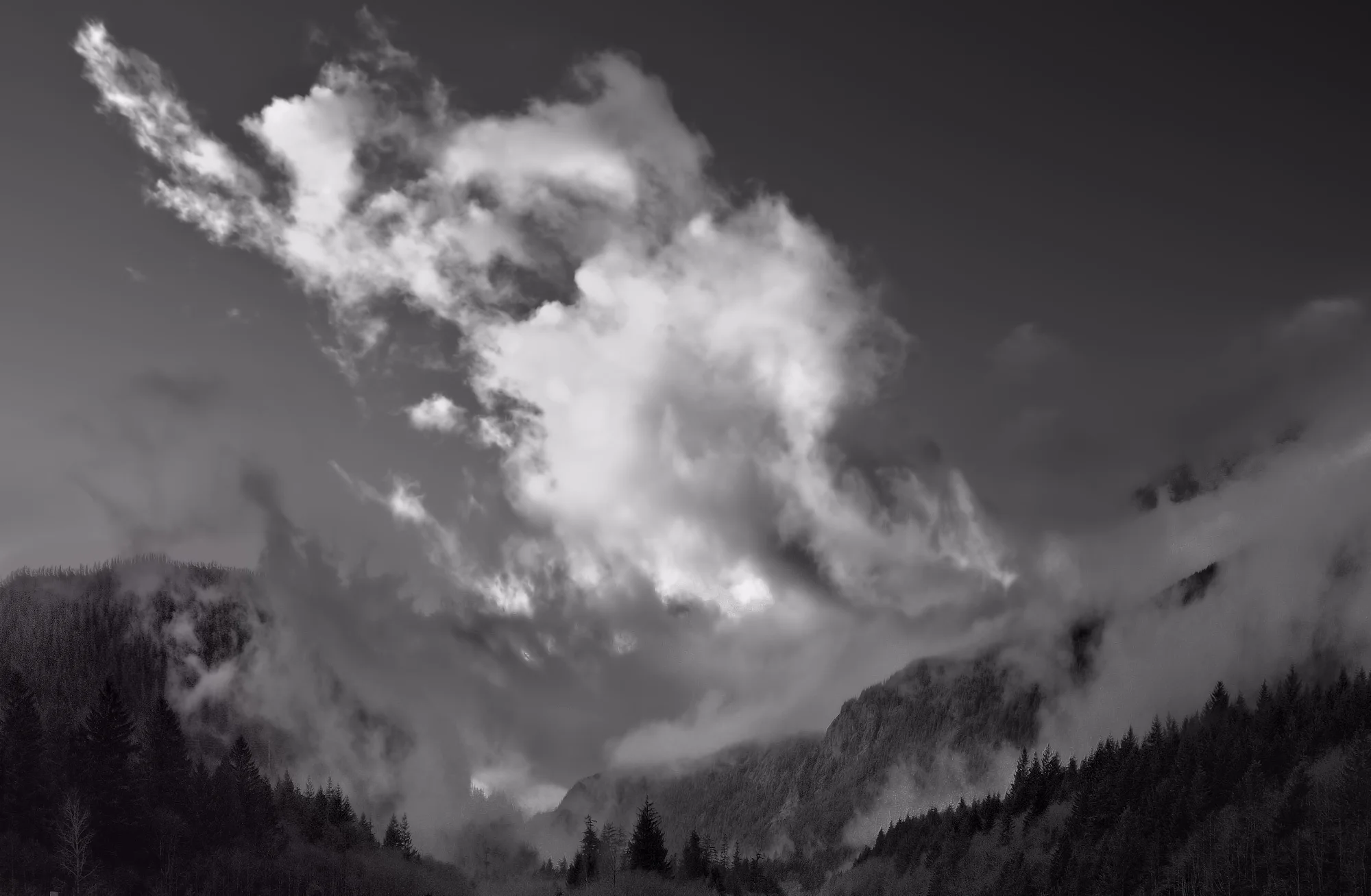 _DSC7513_Localtone2_BW.jpg