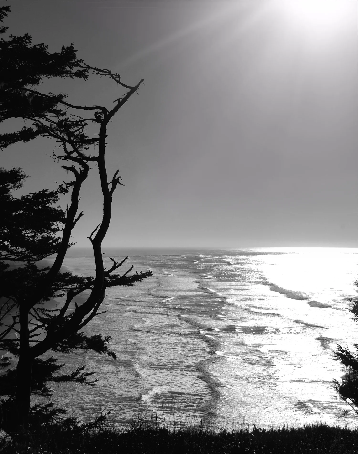 ColumbiaRiverBarBW SP.jpg